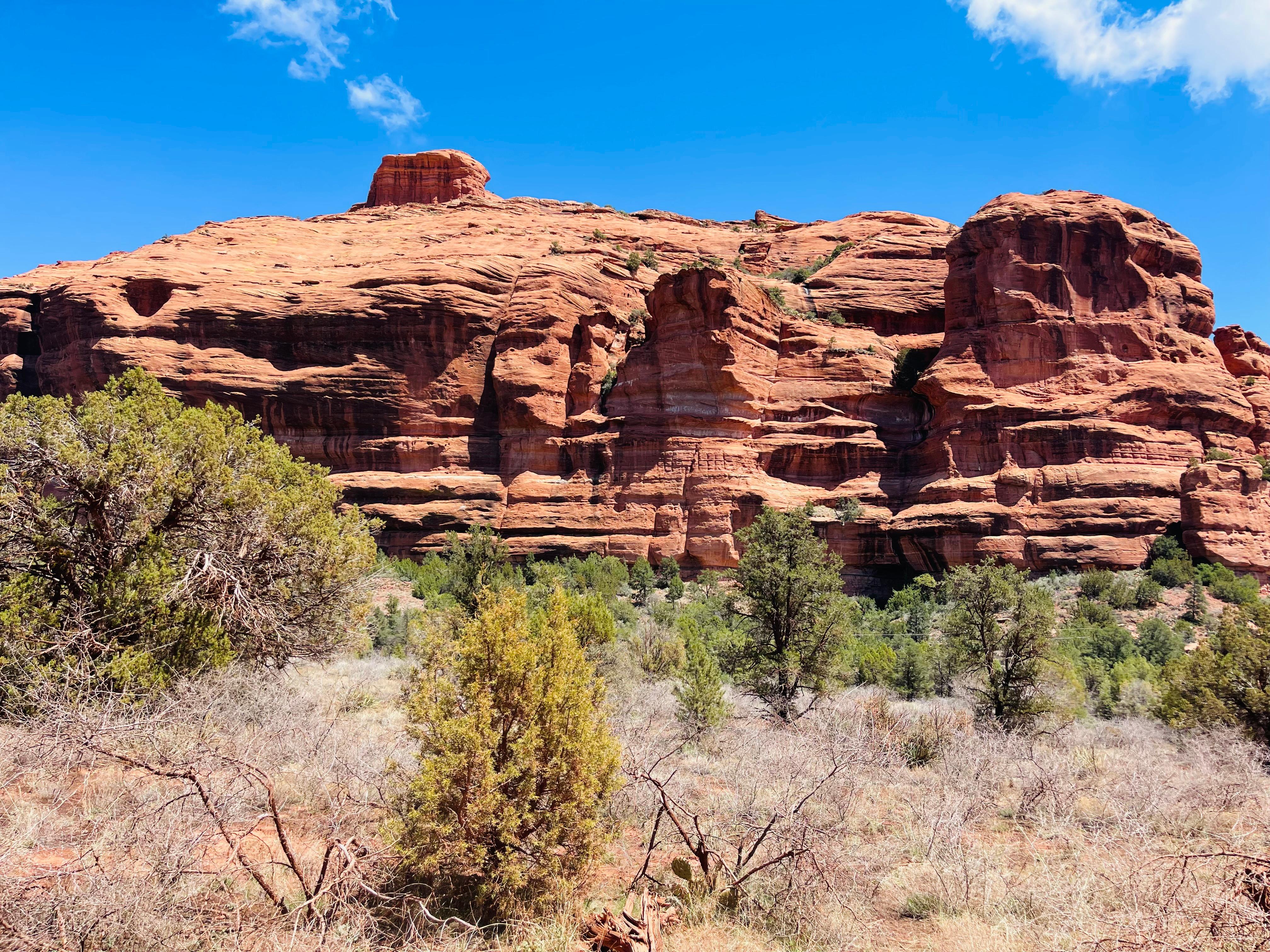 Book Tickets for Sedona: PRIVATE 2-Hour Jeep Tour Lil' Rattler Trail: Sedona