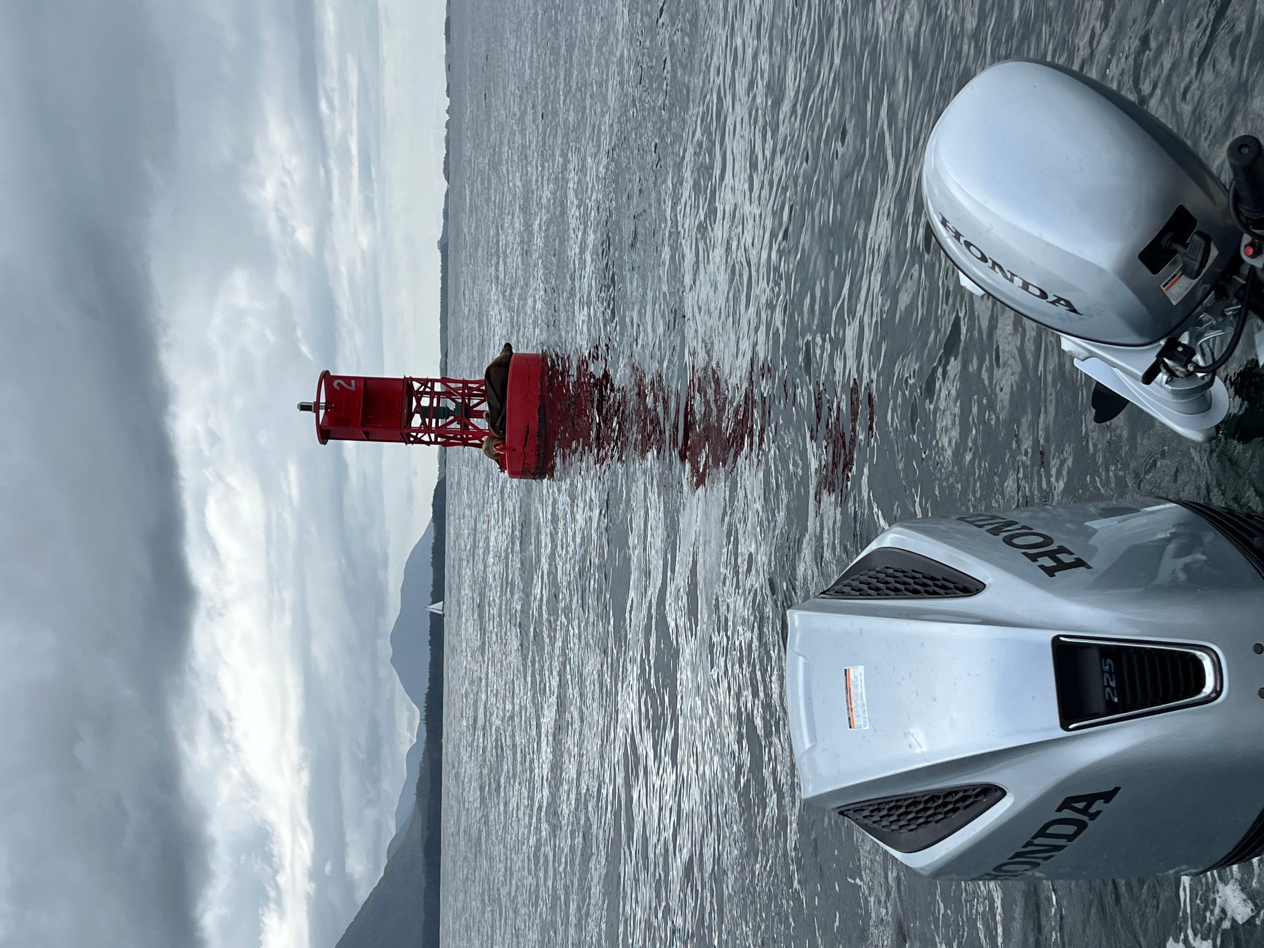 Book Tickets for Sitka: Marine Wildlife Tour: Alaska