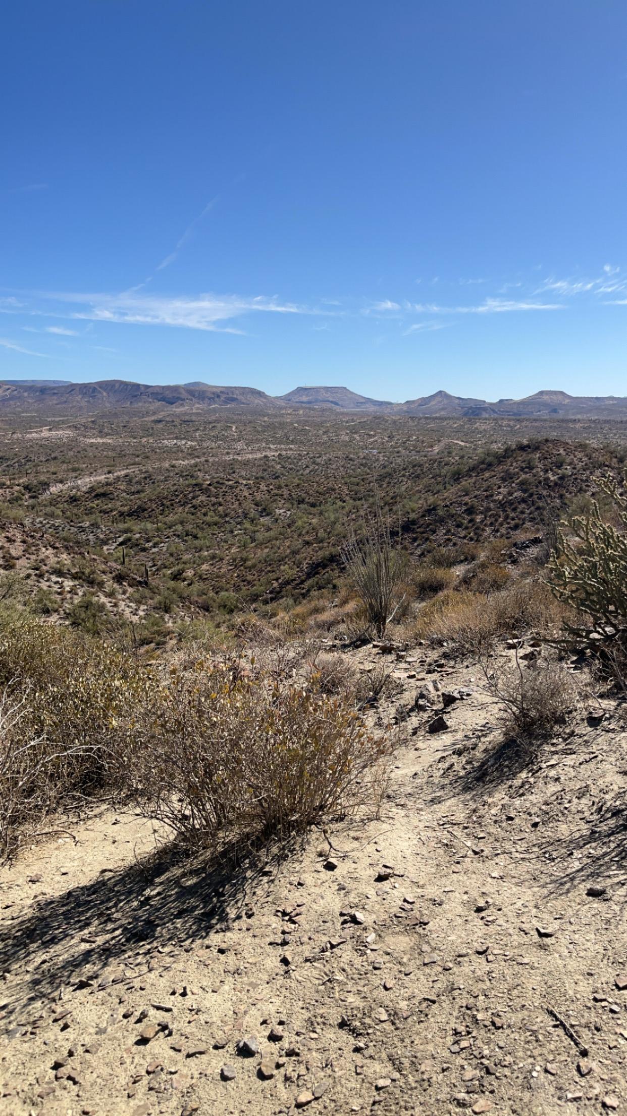 Book Tickets for Sonoran Desert: Guided UTV or ATV Desert Tour: Bradshaw Mountains