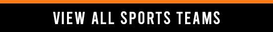 View All Sports Teams - PartyFixx.co