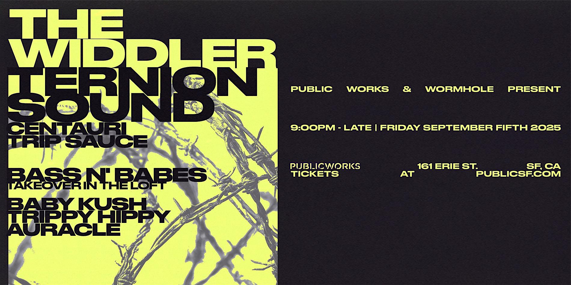 The Widdler + Ternion Sound (Final Tour) presented by PW and Wormhole at Public Works – San Francisco, CA