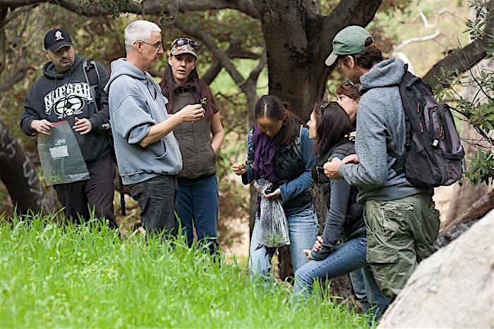 Eco-Friendly Foraging – Plants Walk / Wild Food Tasting & Drinks at Reptacular Ranch – Sylmar, CA