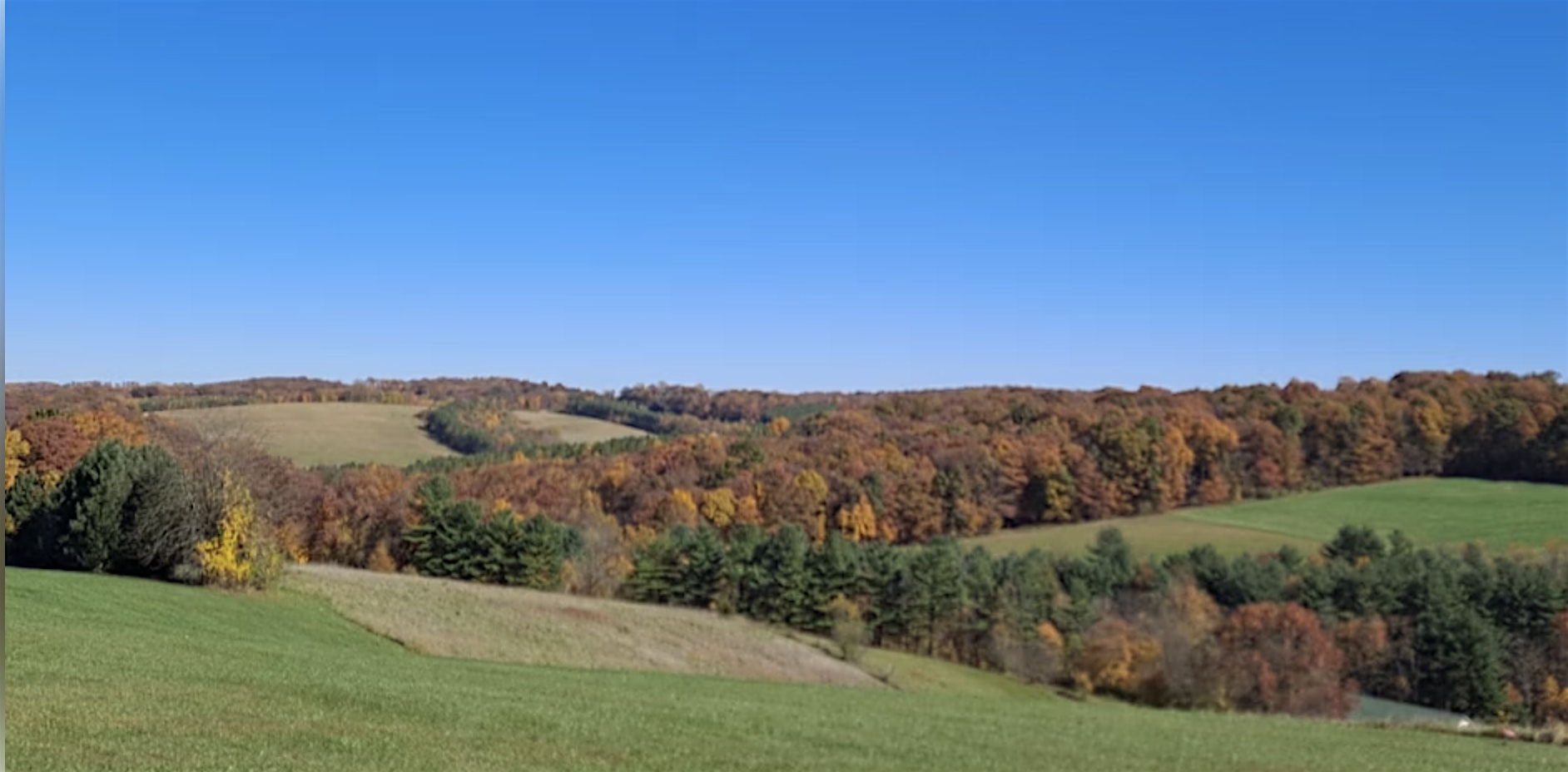 2nd Annual Bluegrass on the Hill at The Barn – Glenville, PA