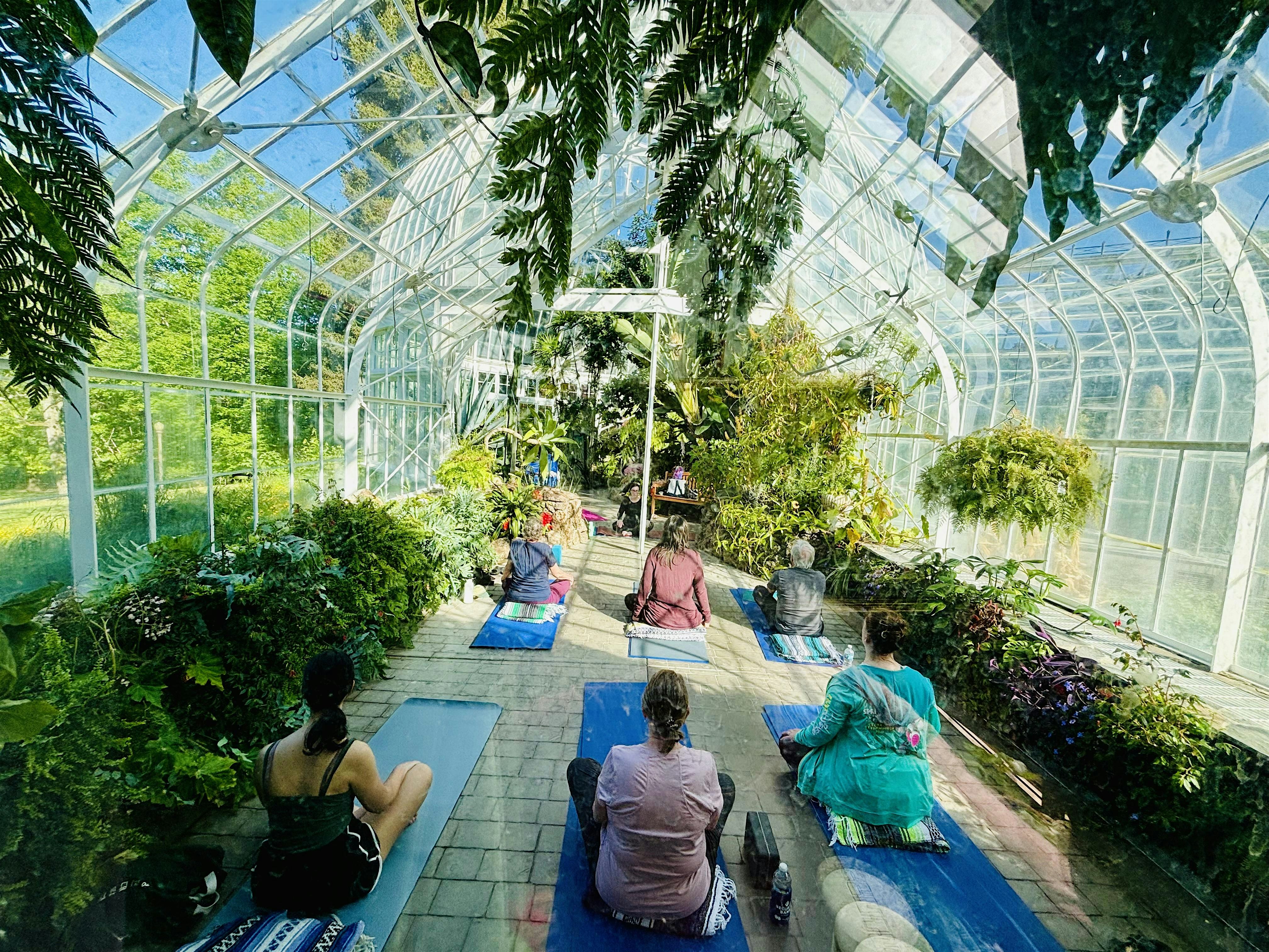 Yoga Among the Plants at WW Seymour Conservatory of Metroparks Tacoma – Tacoma, WA