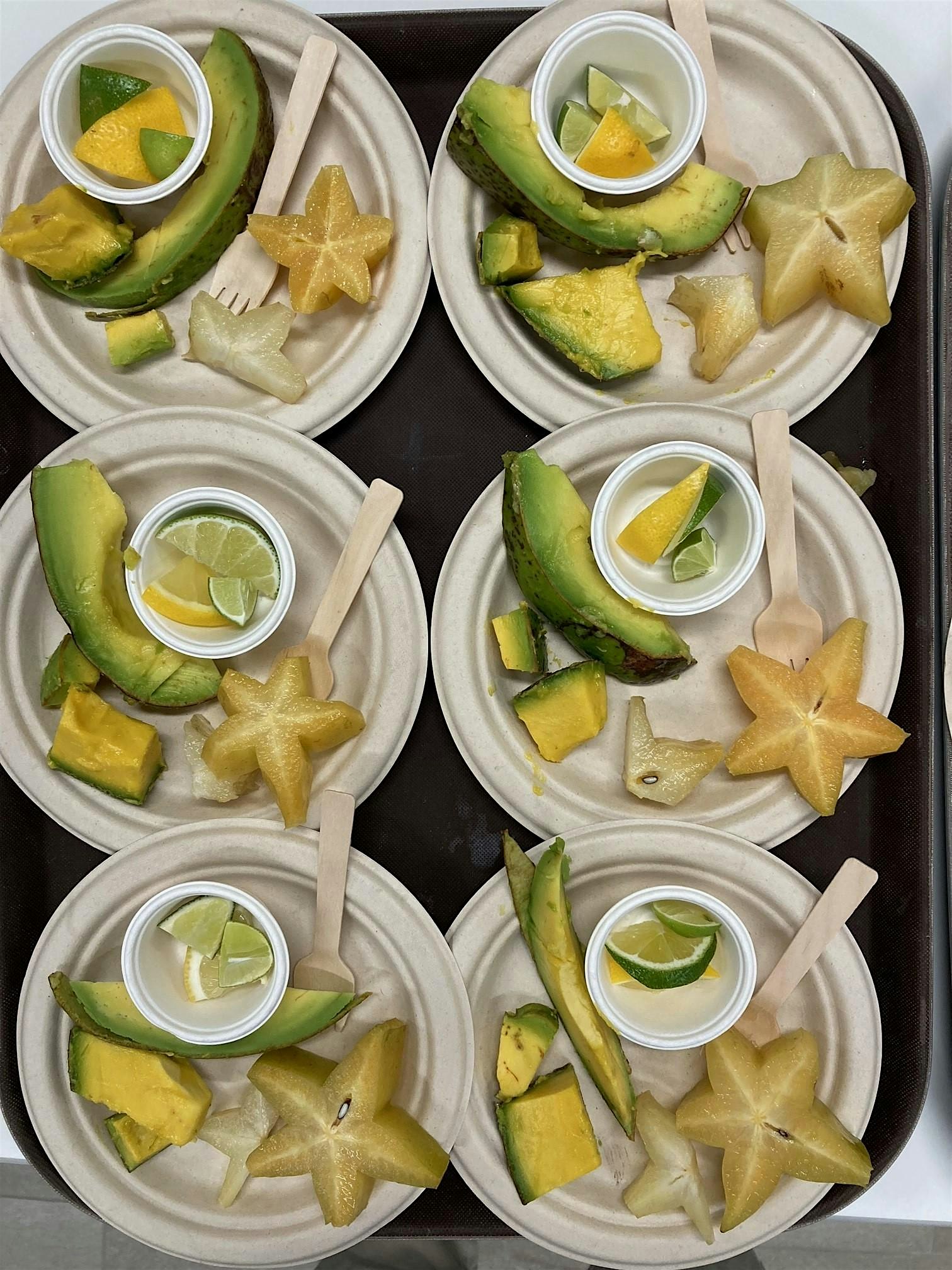 2025 JAMAS! Tropical Fruit Class at UF/IFAS Collier Extension, Naples FL – Naples, FL