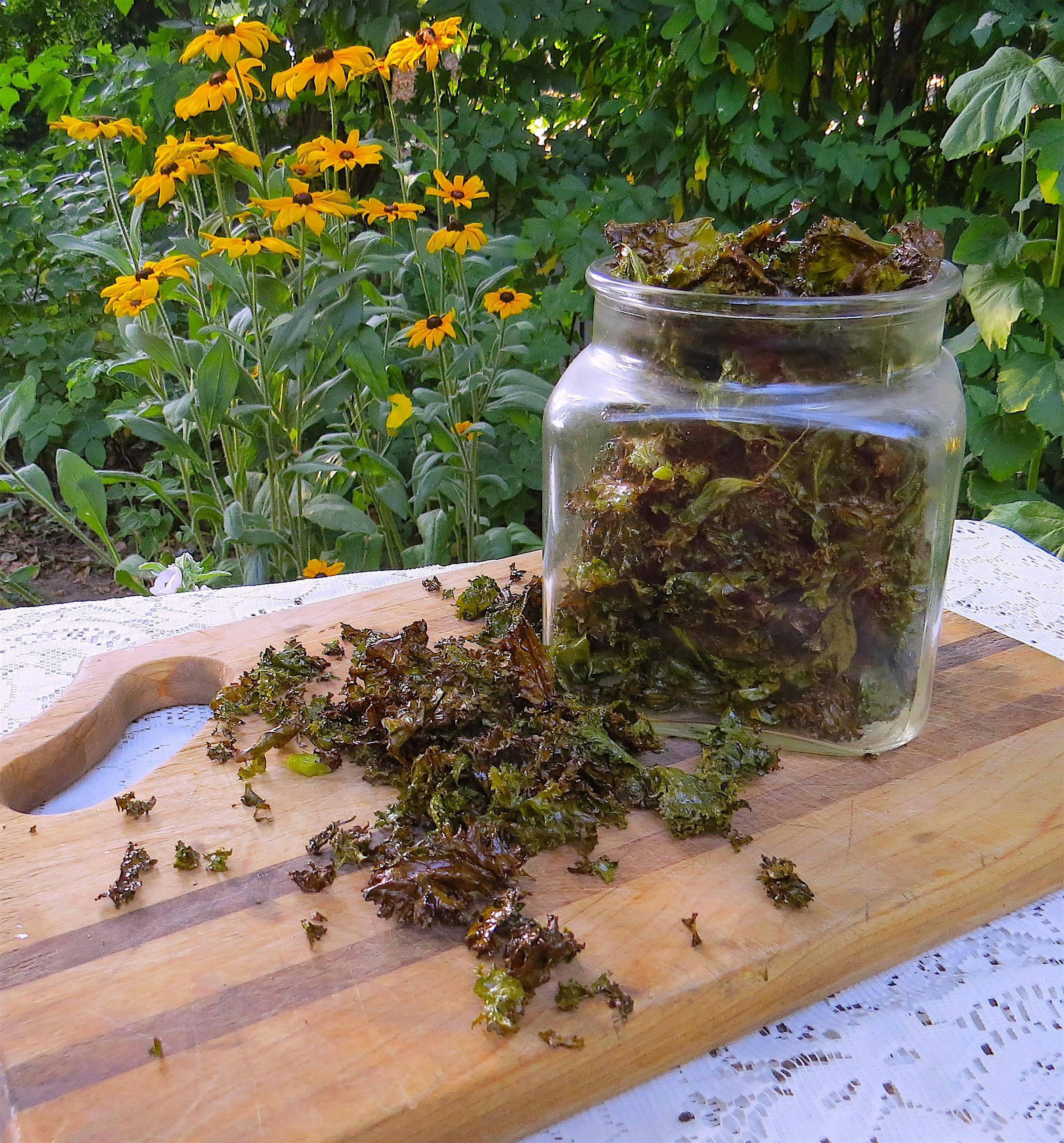Food Preservation – Dehydrating Kale Chips! at Eastside Co-op Annex – Olympia, WA