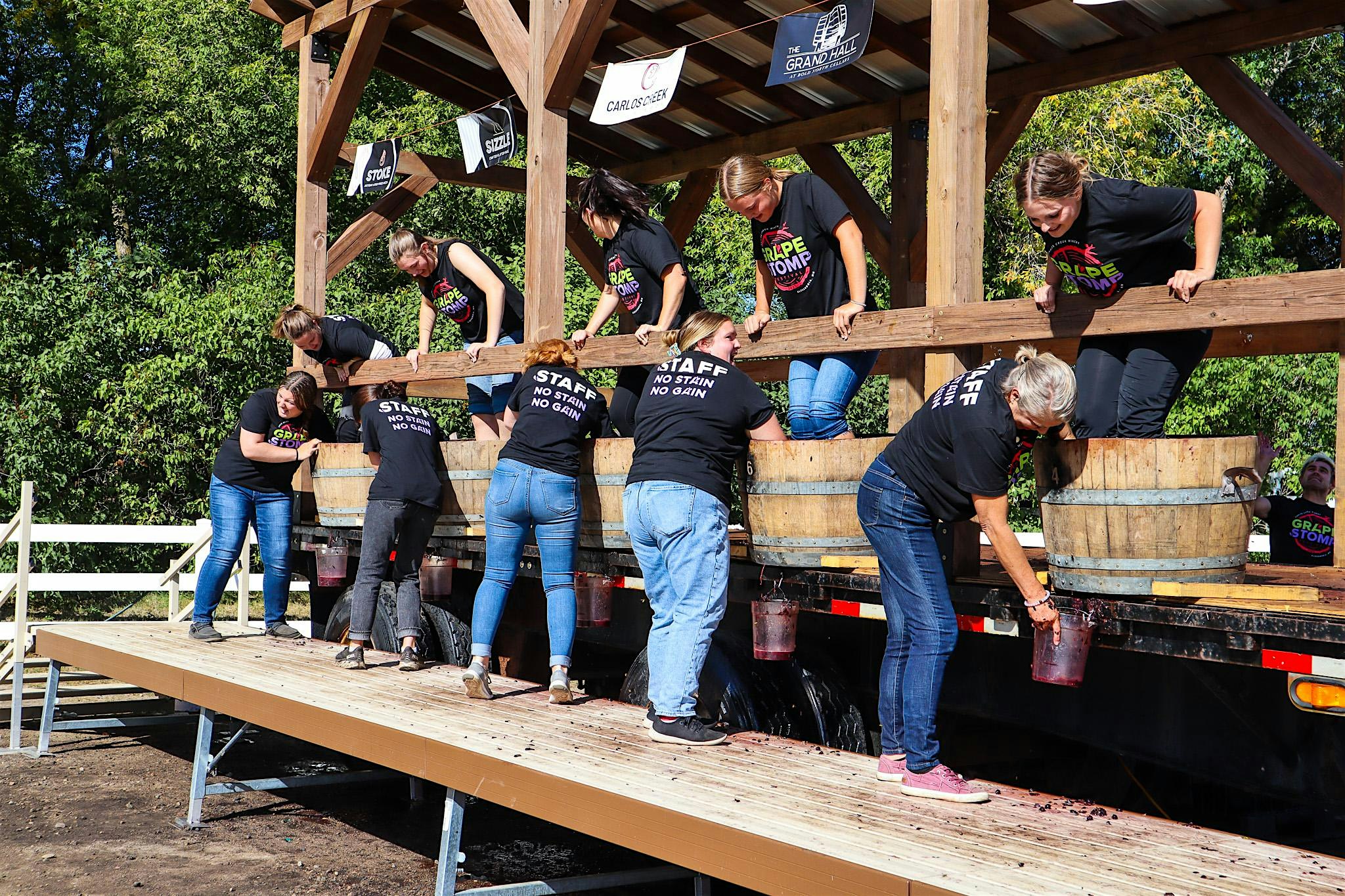 Sunday Grape Stomping Team at Carlos Creek Winery – Alexandria, MN