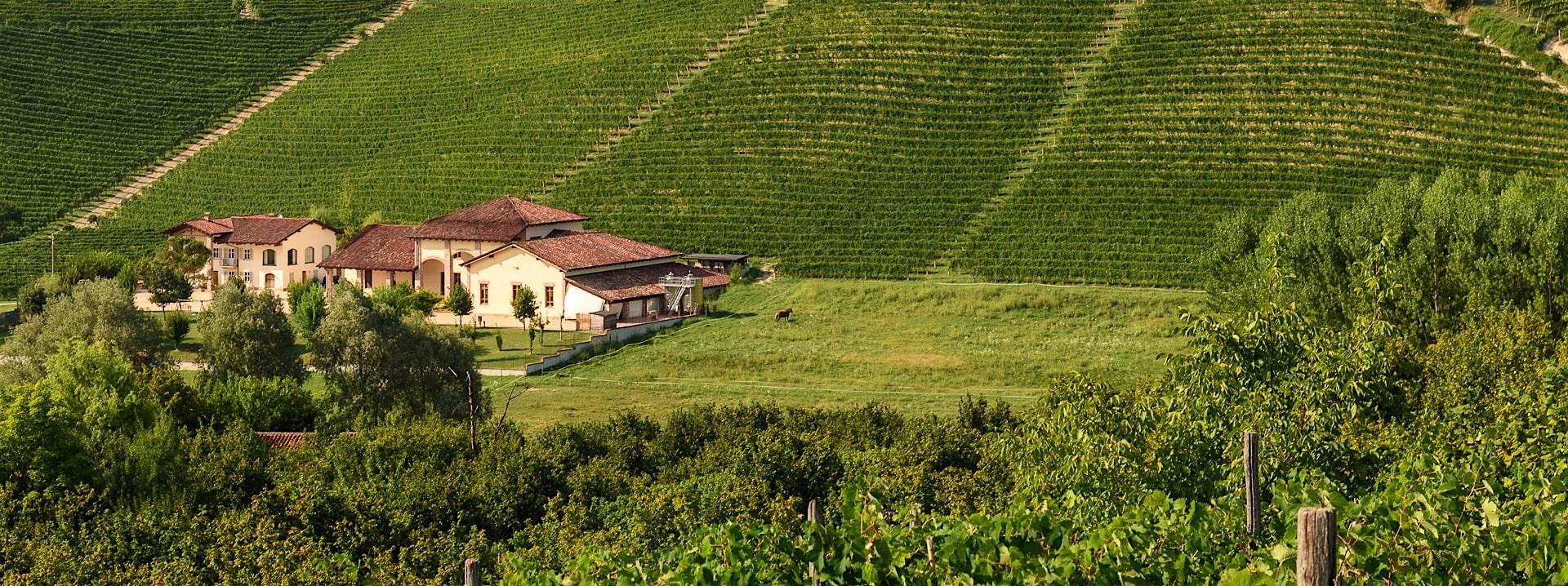 Wine Dinner with La Spinetta at Terra at Eataly L.A. – Los Angeles, CA
