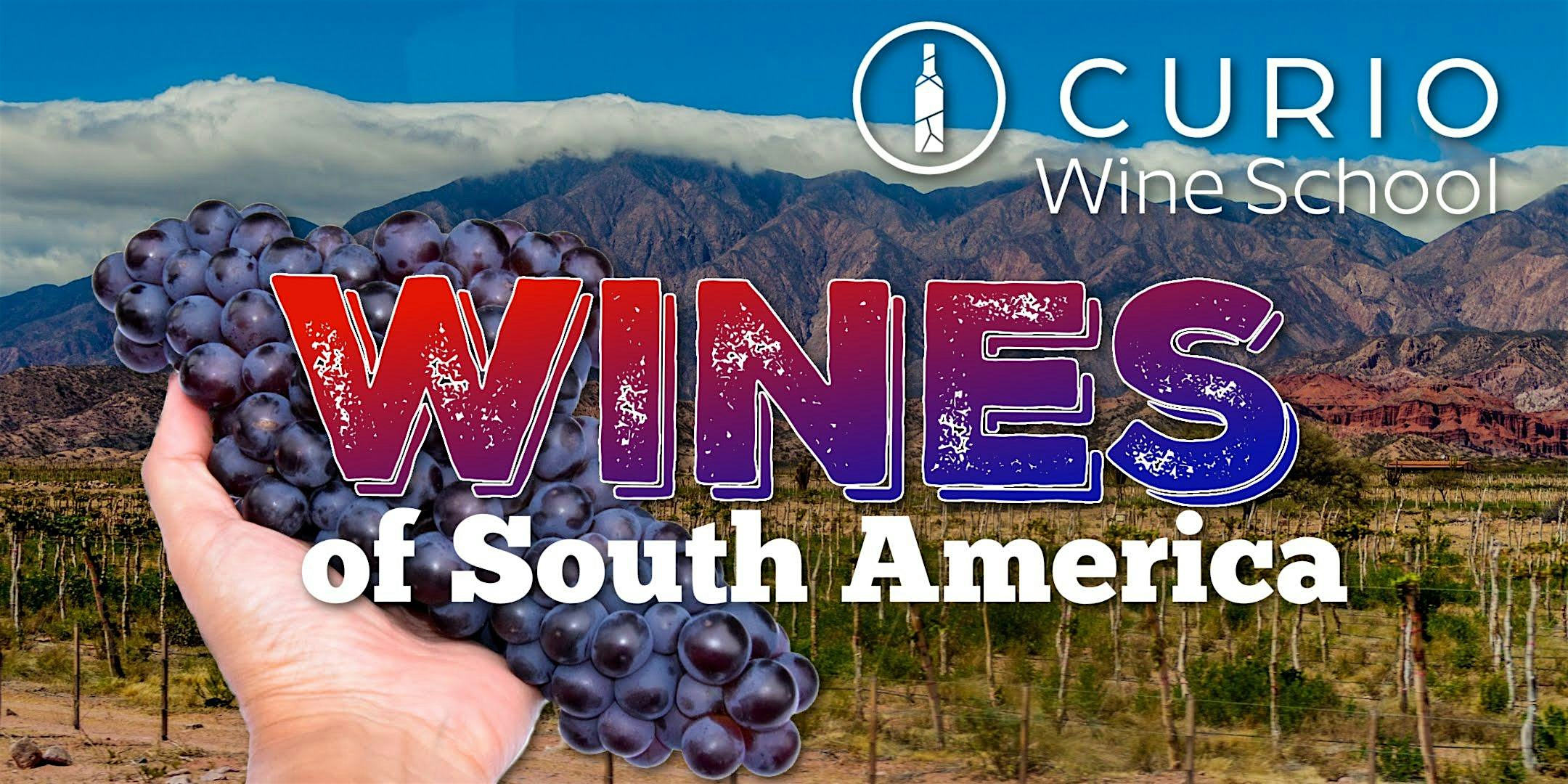 Curio Wine School: Wines of South America at Curio Wine Bar & Tasting Room – Fredericksburg, VA