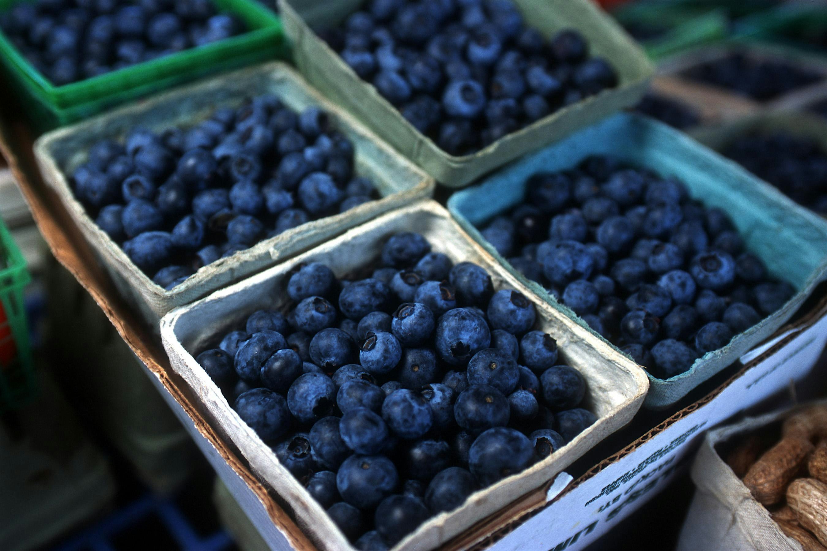 Water Bath Canning: Jams and Jellies at N.C. Cooperative Extension – Brunswick County Center – Bolivia, NC