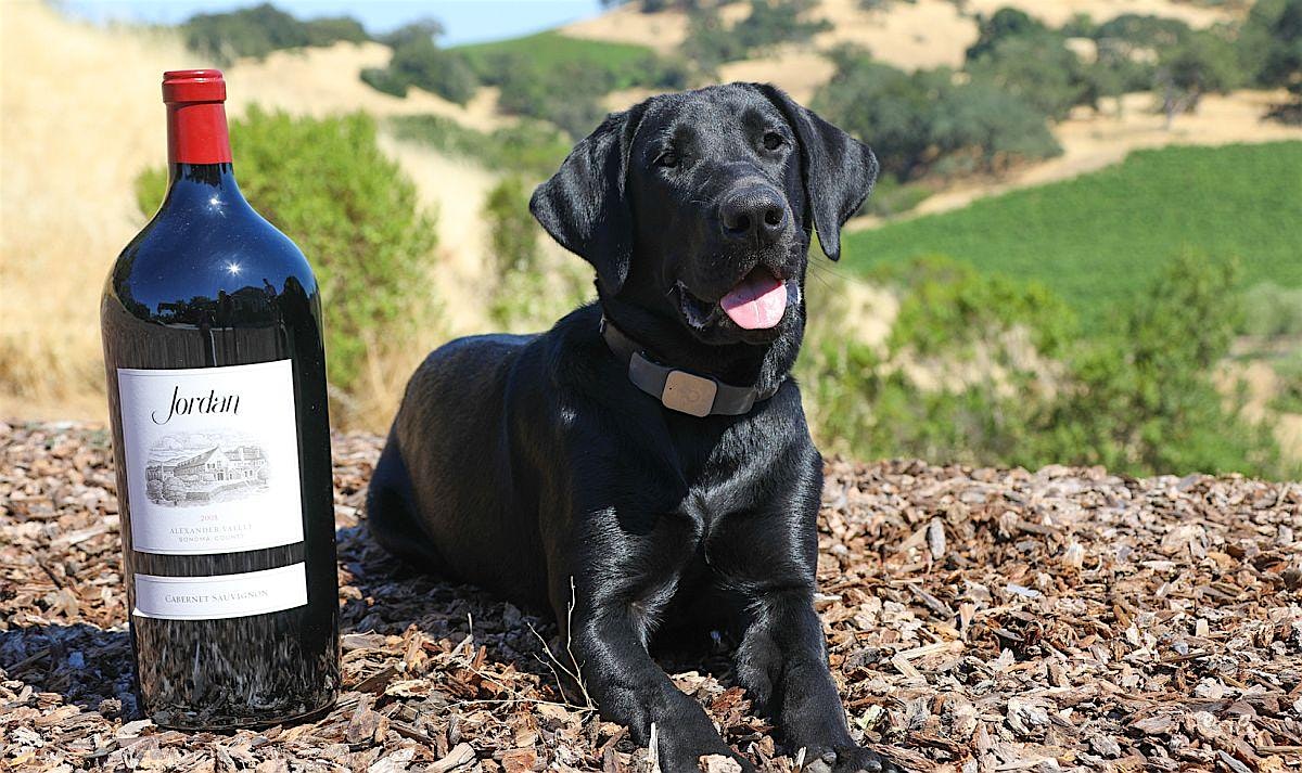 Wags and Wine at The Water Conservation Garden – El Cajon, CA