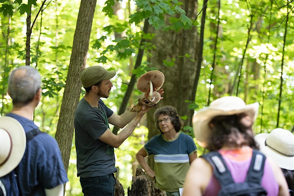 Wild Mushroom Foray at Shelburne Farms – Shelburne, VT