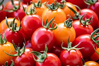 Cooking With the Seasons Sept 22nd at Gwenyn Hill Farm – Waukesha, WI