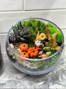 Plant Nite: Make a Succulent Terrarium at Bluebird Kitchen – BELLMORE, NY