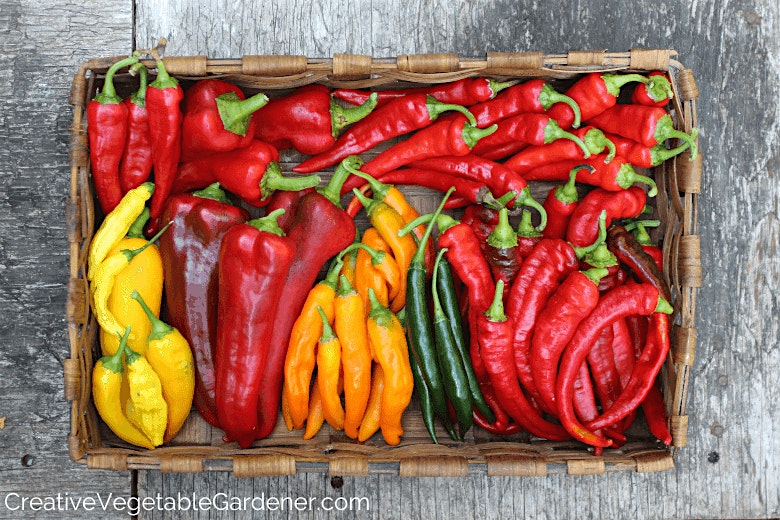Wakeman Town Farm’s Hot Sauce Hang Out! at Wakeman Town Farm – Westport, CT