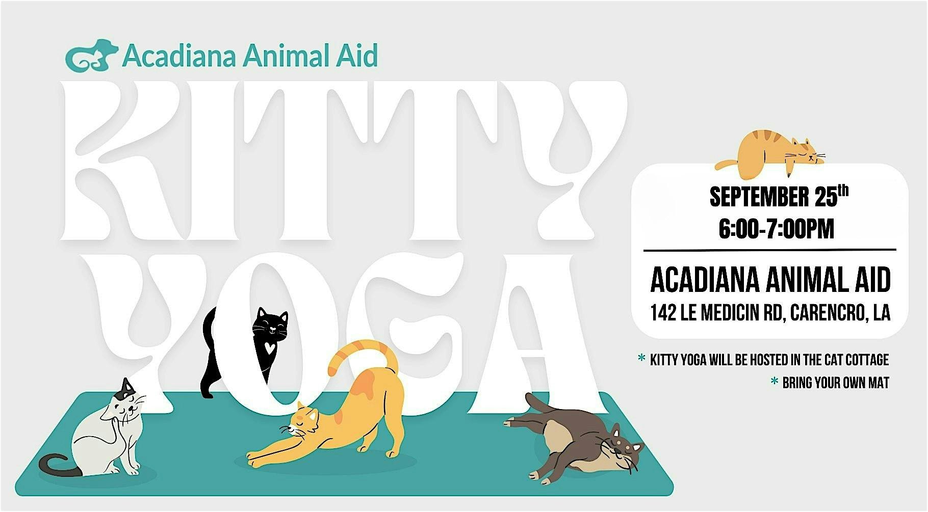 Kitty Yoga at Acadiana Animal Aid: Cat Cottage – Carencro, LA