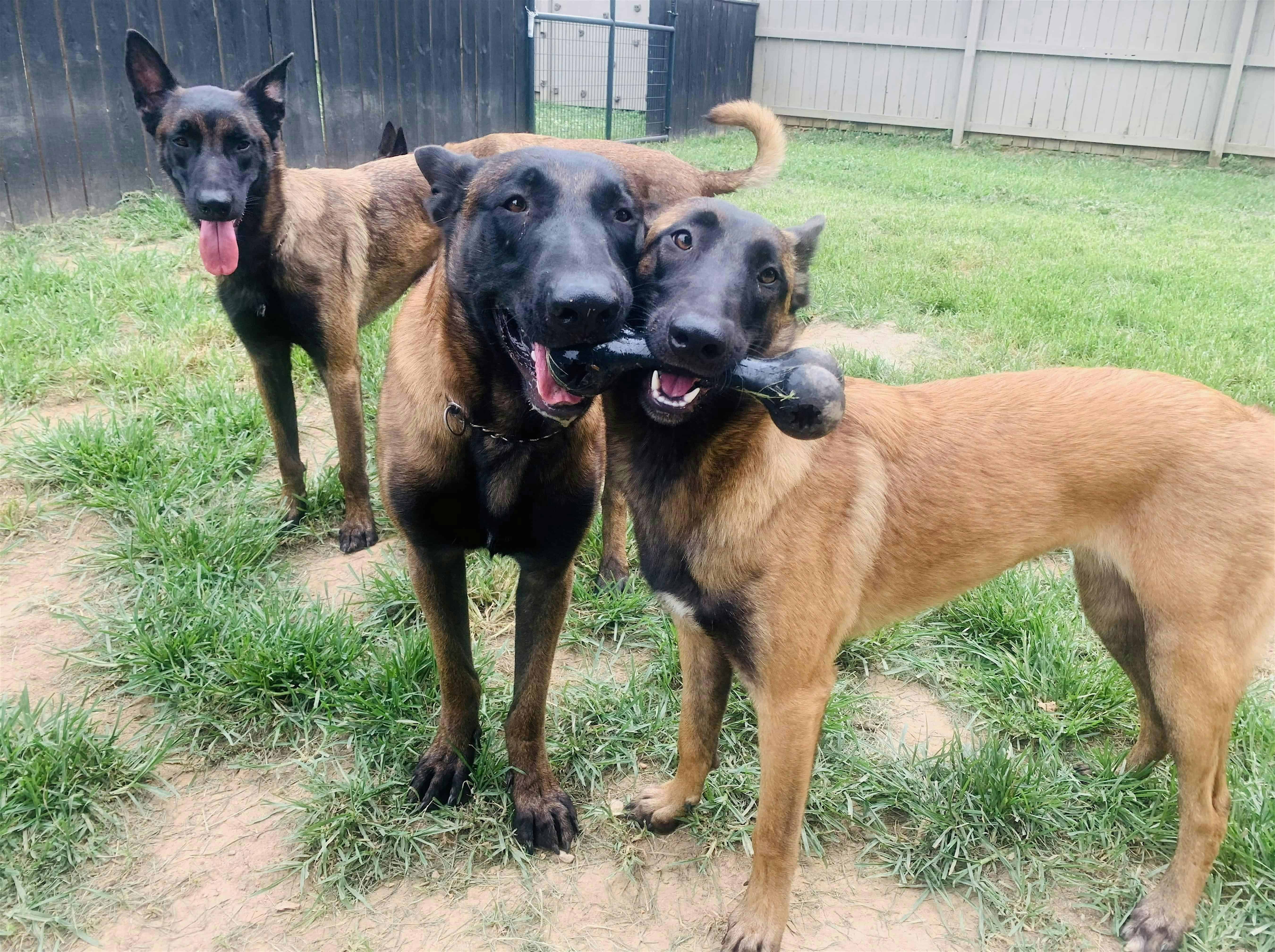 SCK9 Patreon 2025 Exclusive Event at Royal Range USA – Nashville, TN