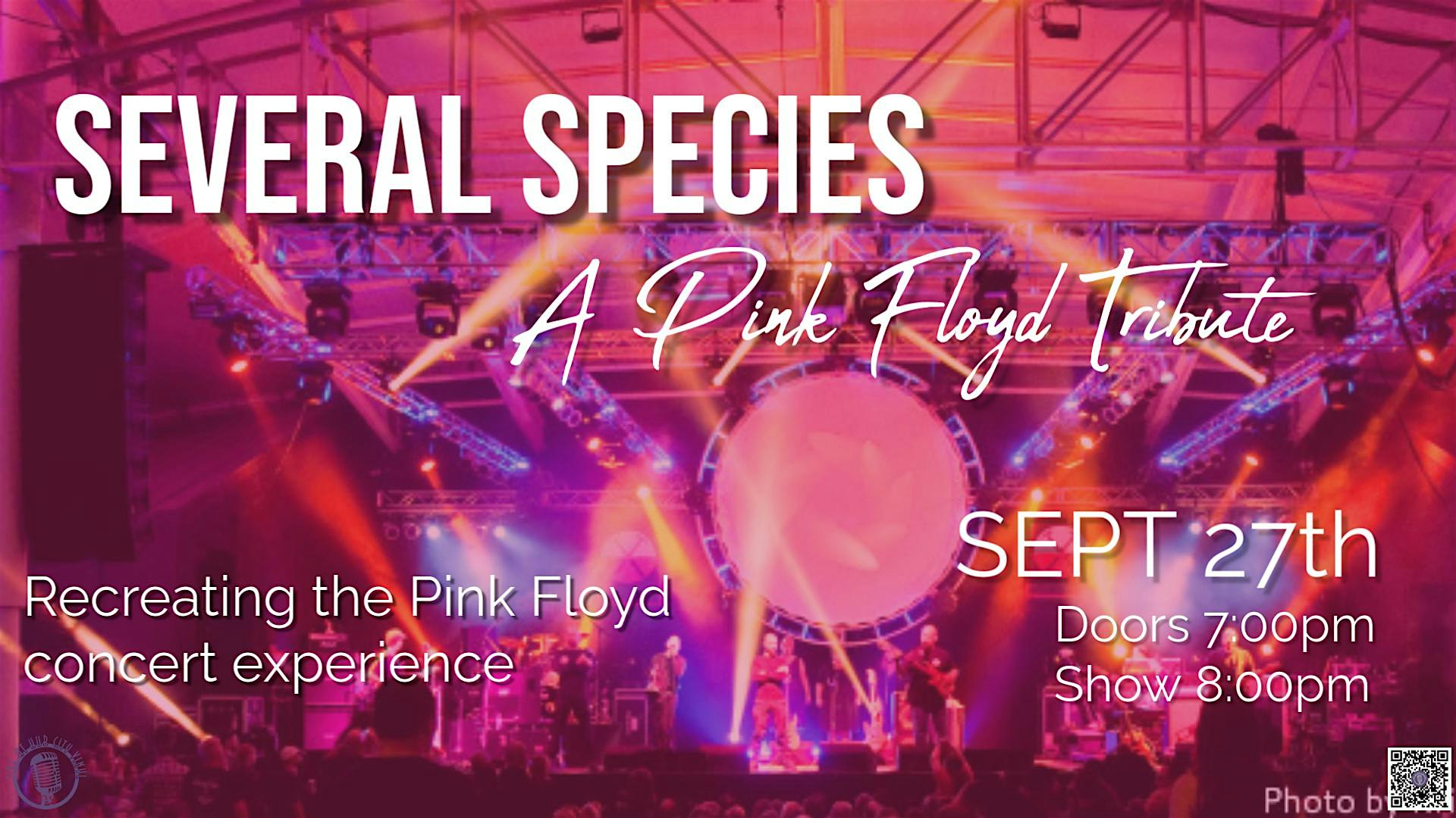 Several Species – a Pink Floyd Tribute at Live At Hub City Vinyl – Hagerstown, MD