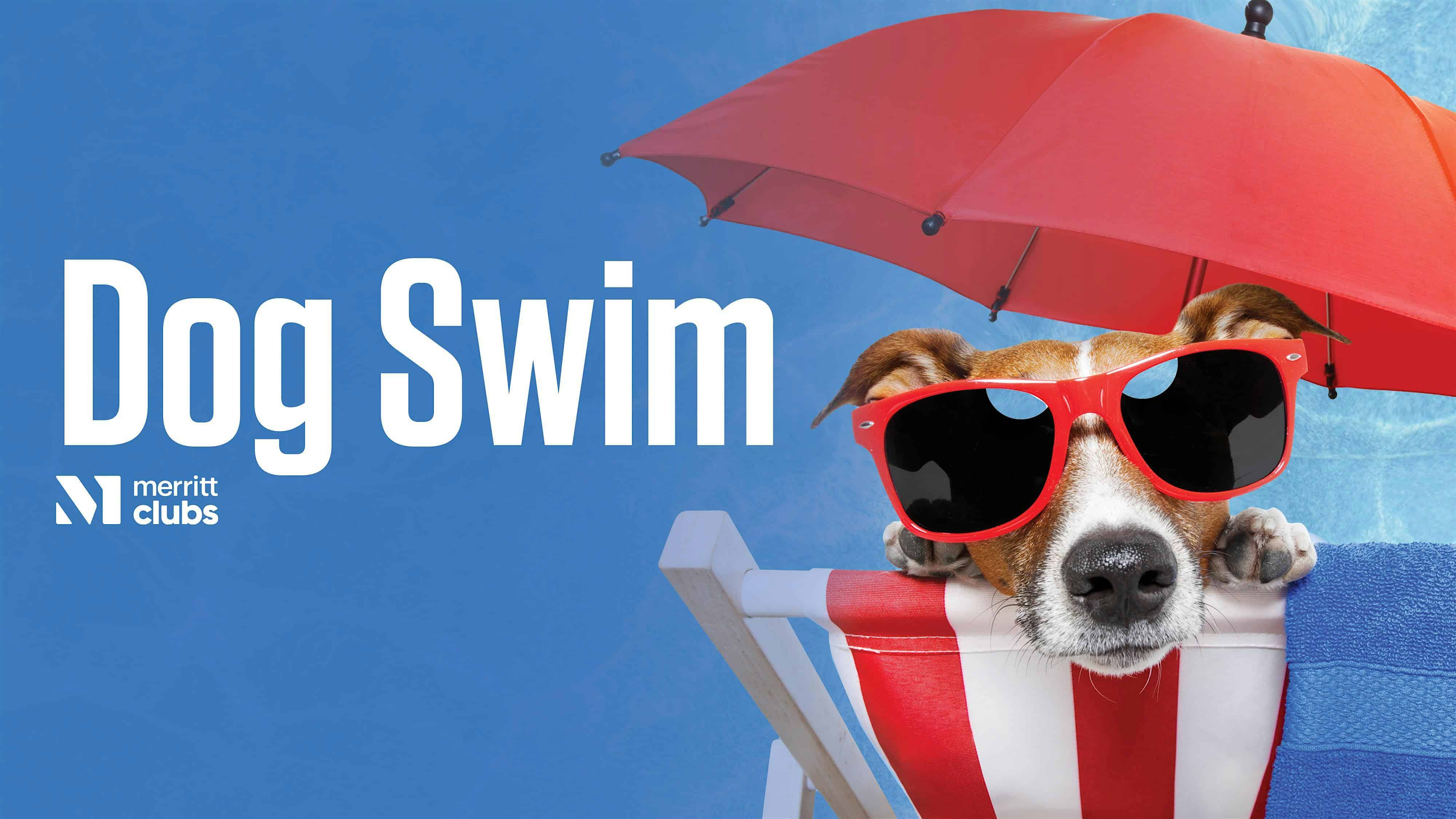 Dog Swim (White Marsh) at Merritt Clubs White Marsh – Nottingham, MD