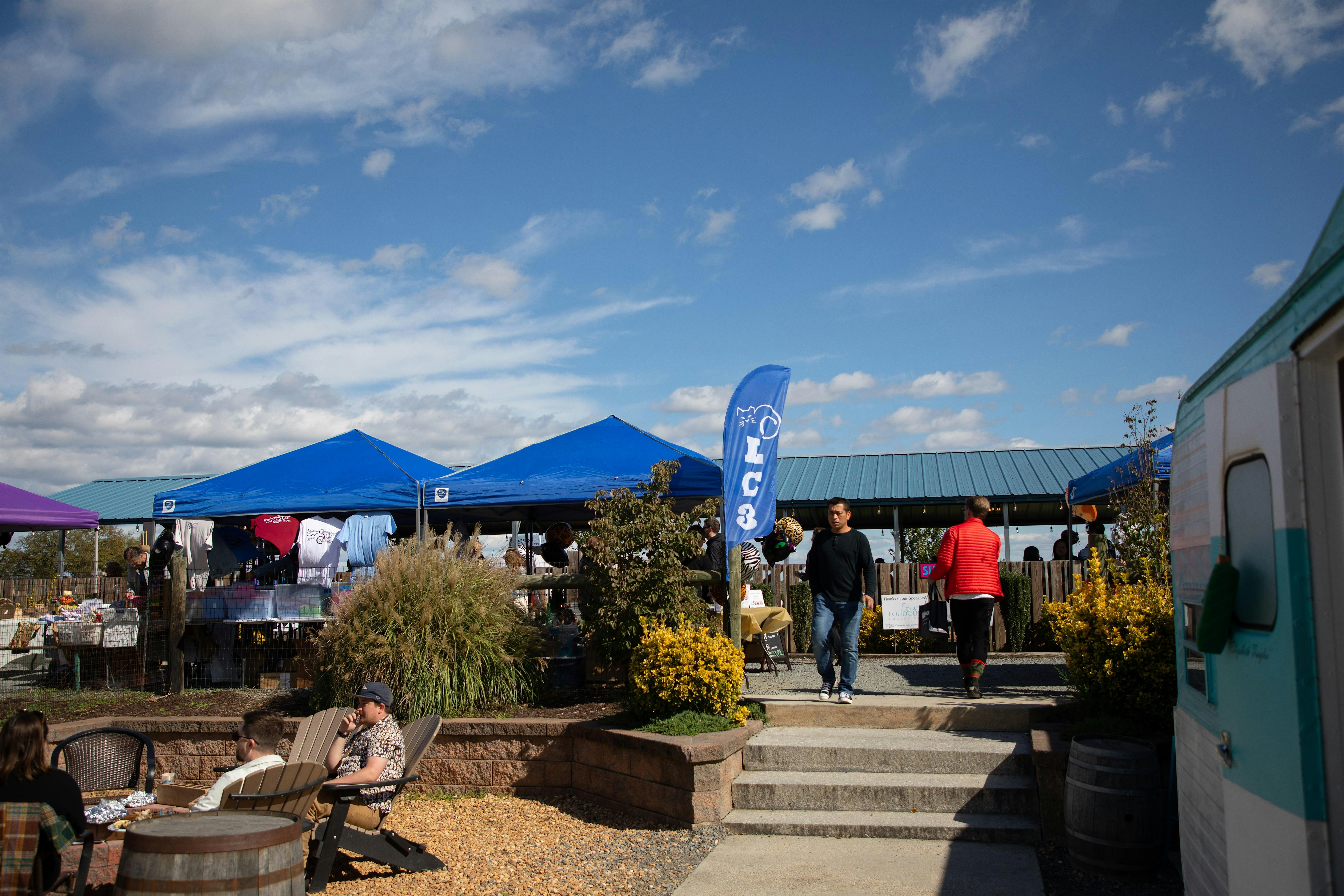 LC3’s Pints 4 Paws Celebration and Fundraiser for Community Cats & Kittens at Vanish Farmwoods Brewery – Leesburg, VA