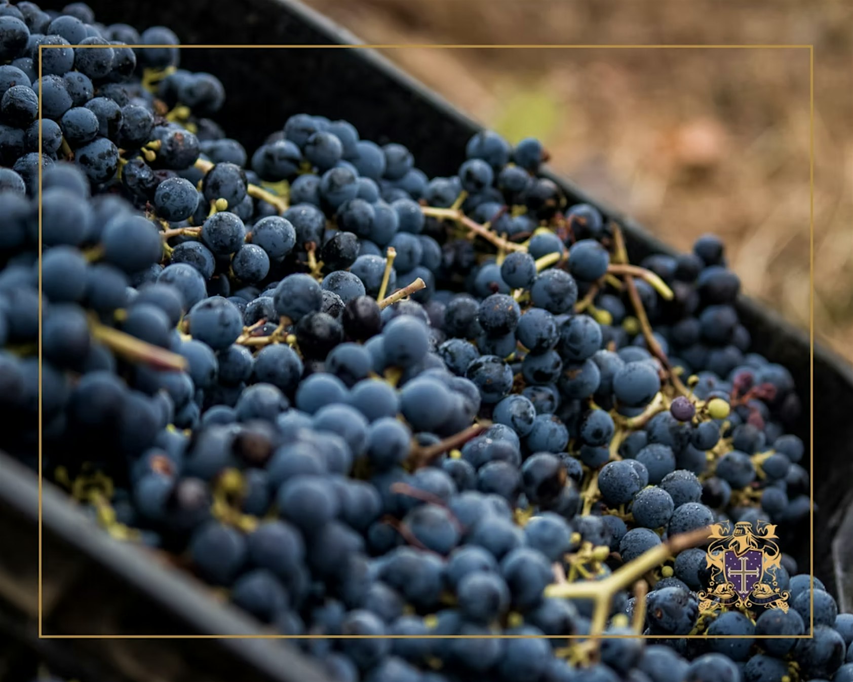 Special Wine Dinner with Stellekaya Winery at 1400 SE Walton Blvd – Bentonville, AR