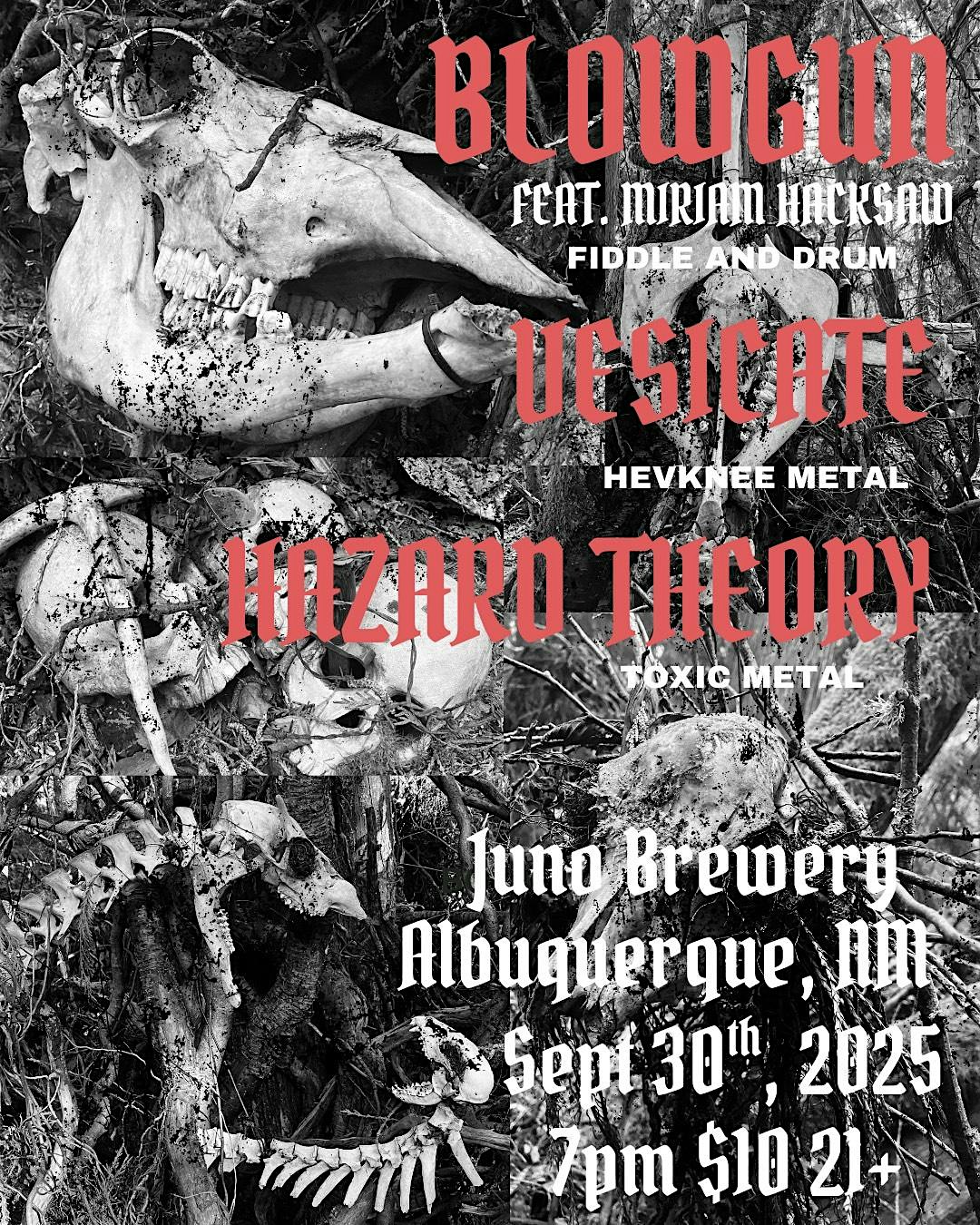 Blowgun feat. Miriam Hacksaw, with Vesicate and Hazard Theory at JUNO brewery + cafe + art – Albuquerque, NM
