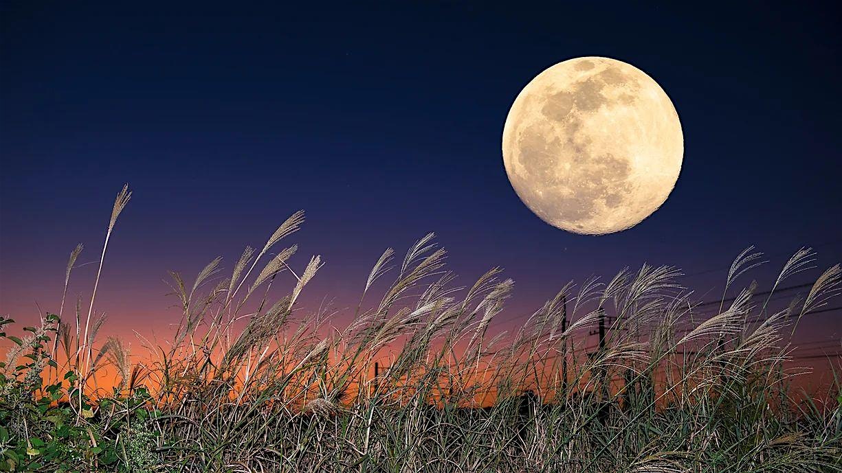 Harvest Full Moon Flora Colored Crystal Bowl Journey In-Pe at The Healing Power of Flowers – Heaven and Earth – Salem, NH
