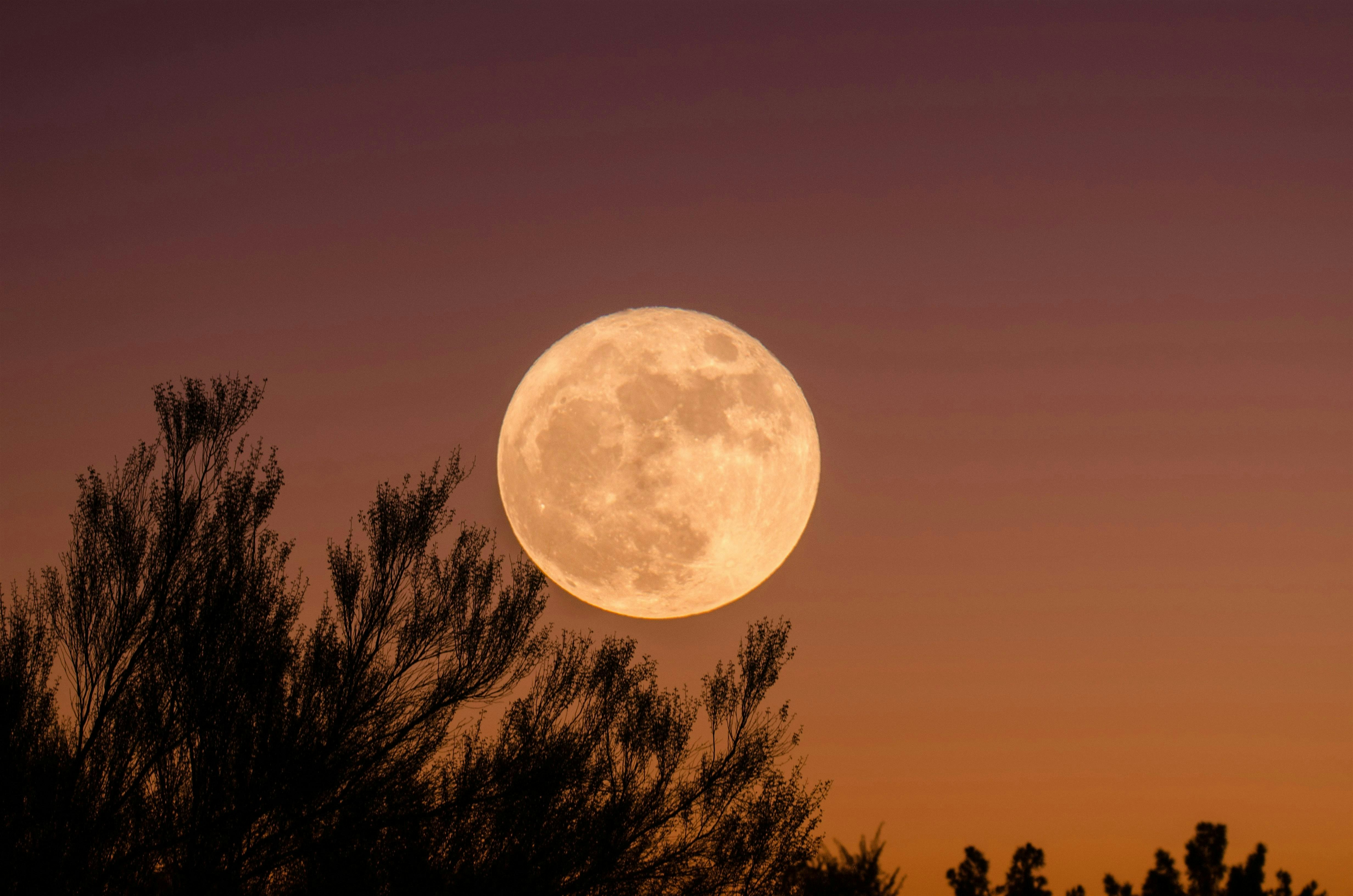 FULL MOON ACTIVATION: SOUND BATH at 8503 Pastor Doyle Hart Way – Inglewood, CA