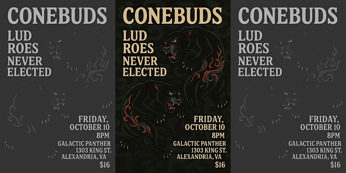 LIVE MUSIC: Conebuds, Lud Roes, and Never Elected Live at Galactic Panther at Galactic Panther Art Gallery – Alexandria, VA