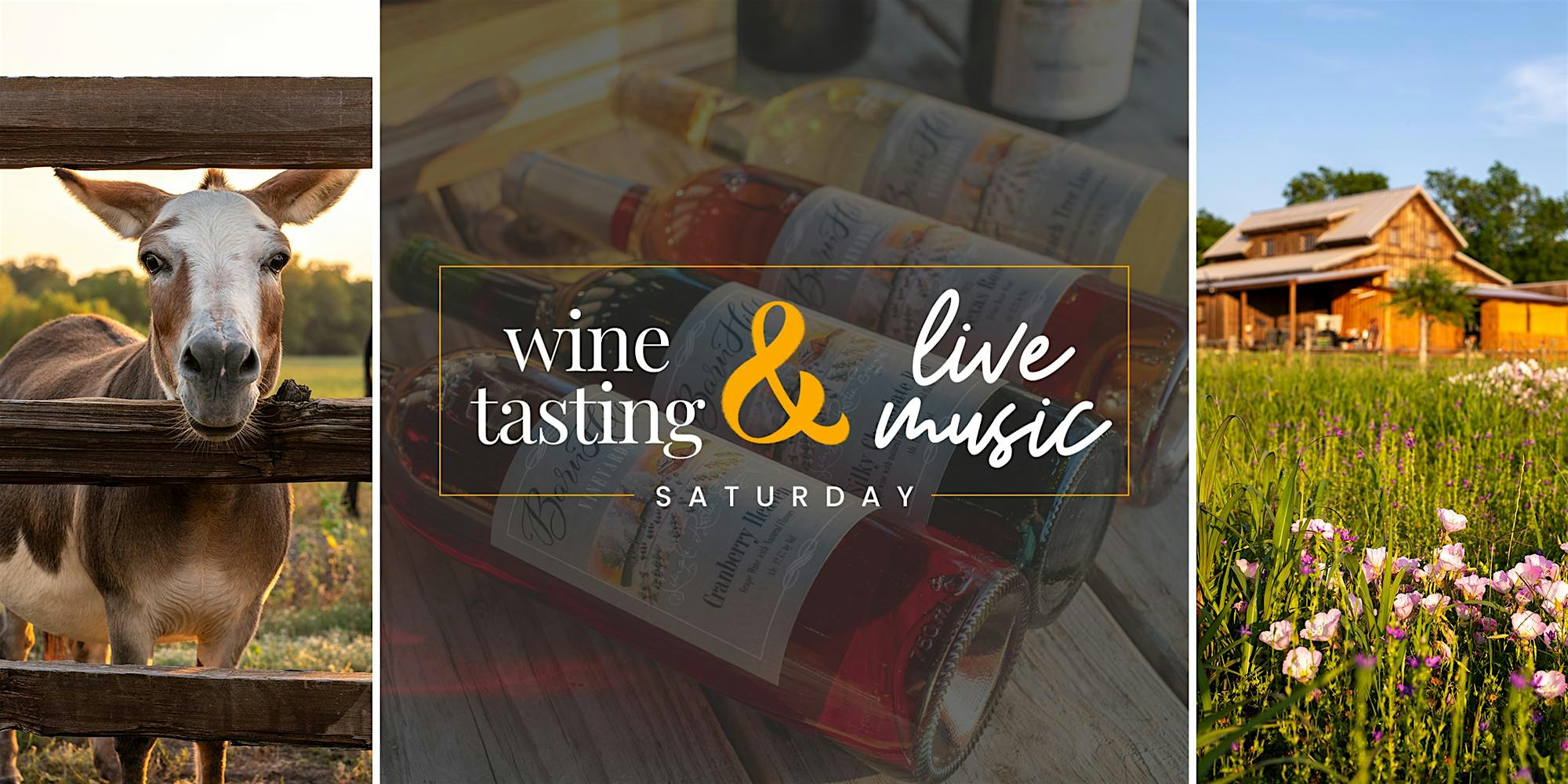 Wine Tasting and Live Acoustic Music by Amanda Latz / Anna, TX at Barn Hill Vineyards – Anna, TX