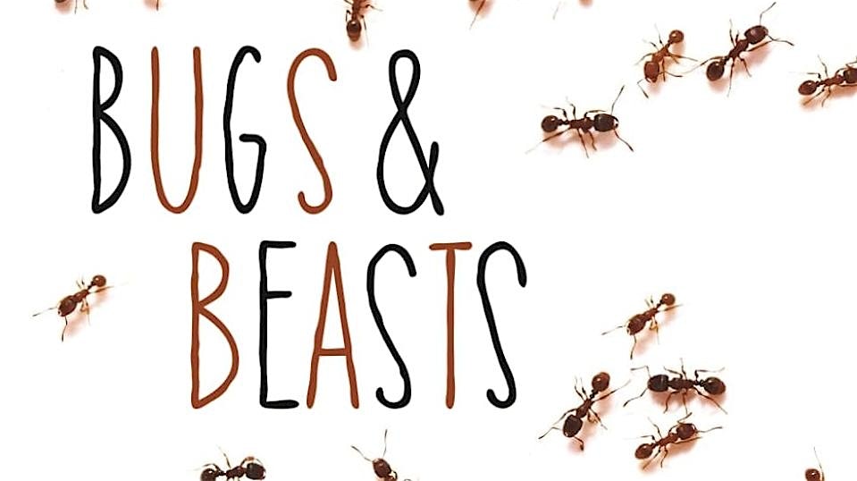 Bugs & Beasts Book Launch & Open Mic at Ludy Cafe – Irvington, NY