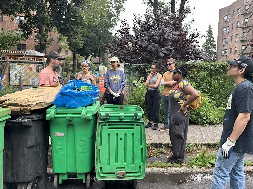 Street Tree Care w/ Maple Street Garden at 237 Maple St – Brooklyn, NY