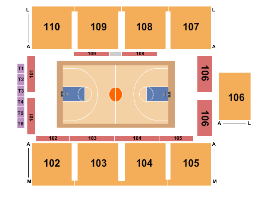 Greensboro Swarm vs. Capital City Go-Go at Novant Health Fieldhouse At Greensboro Complex – Greensboro, NC