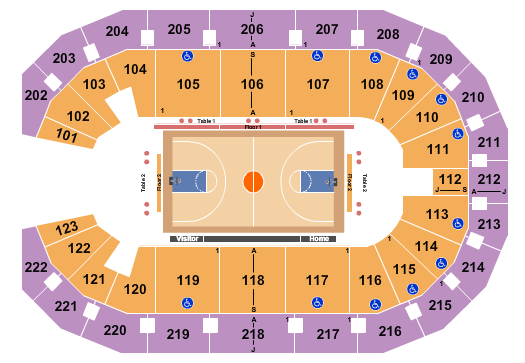 Memphis Hustle vs. Greensboro Swarm at Landers Center – Southaven, MS