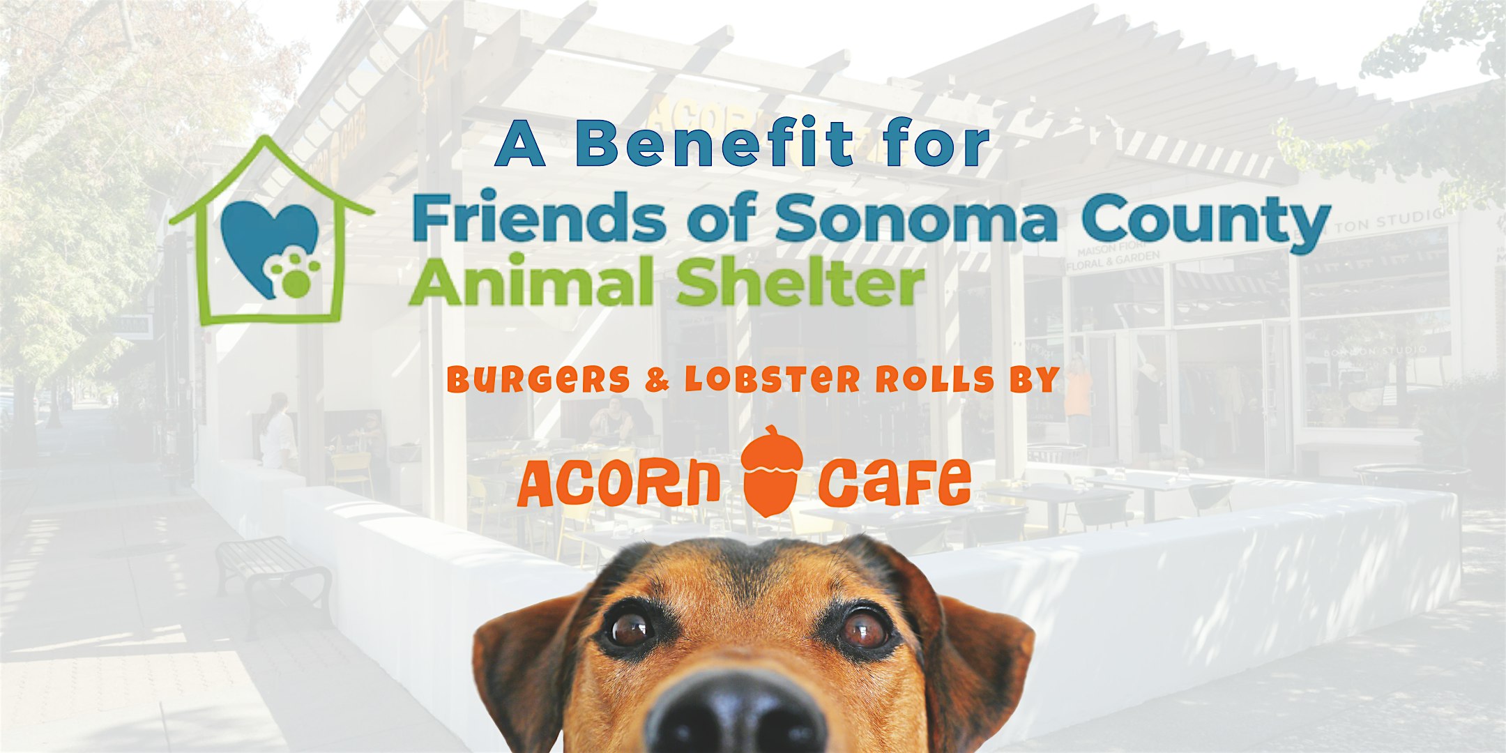 Beers for Animal Rescue – A Benefit for FoSCAS at Acorn Cafe – Healdsburg, CA
