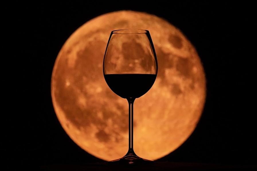 Harvest Moon Festival at Black Dog Wine Company at Black Dog Wine Company – Oakdale, PA
