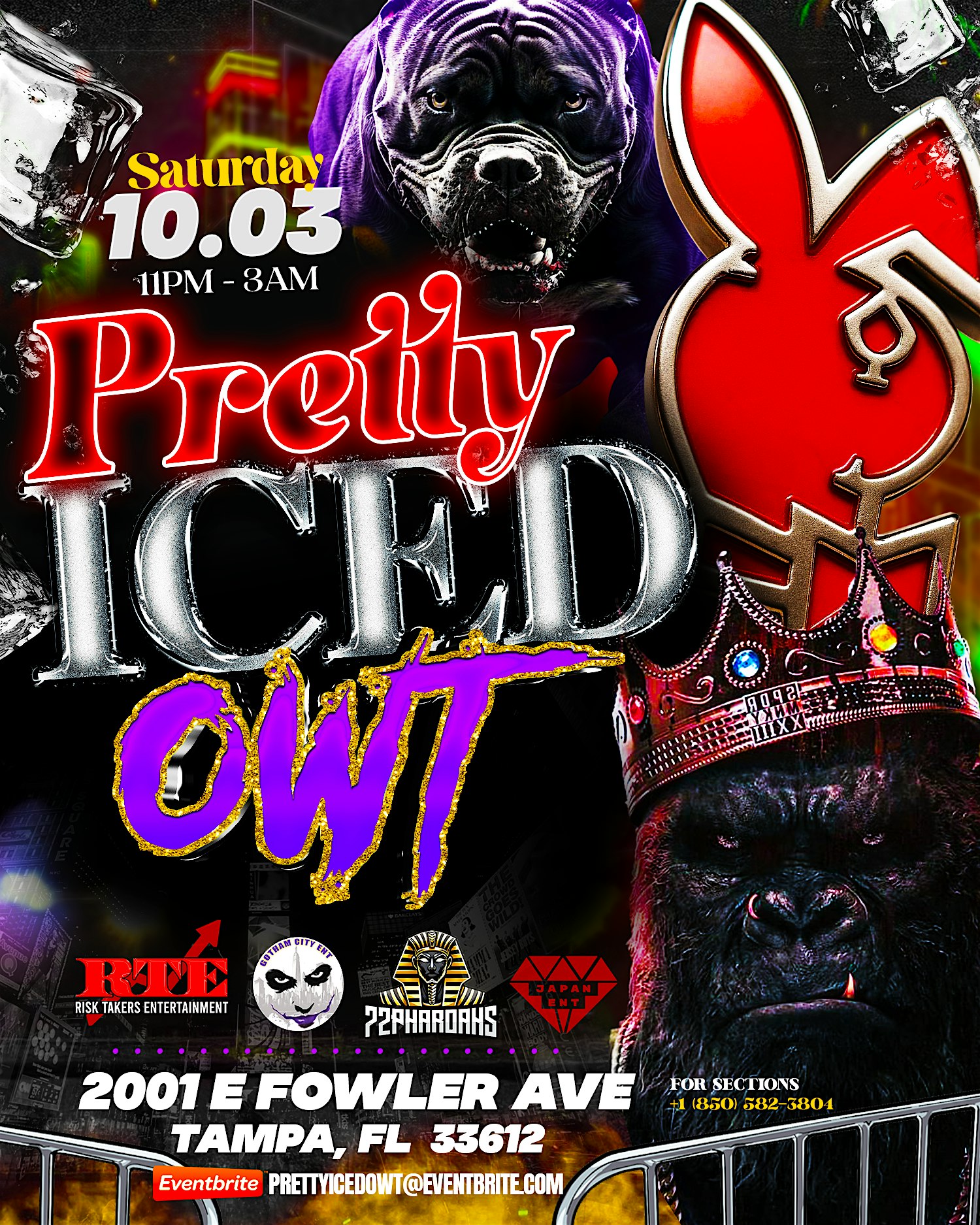 PRETTY ICED OWT at 2001 E Fowler Ave – Tampa, FL