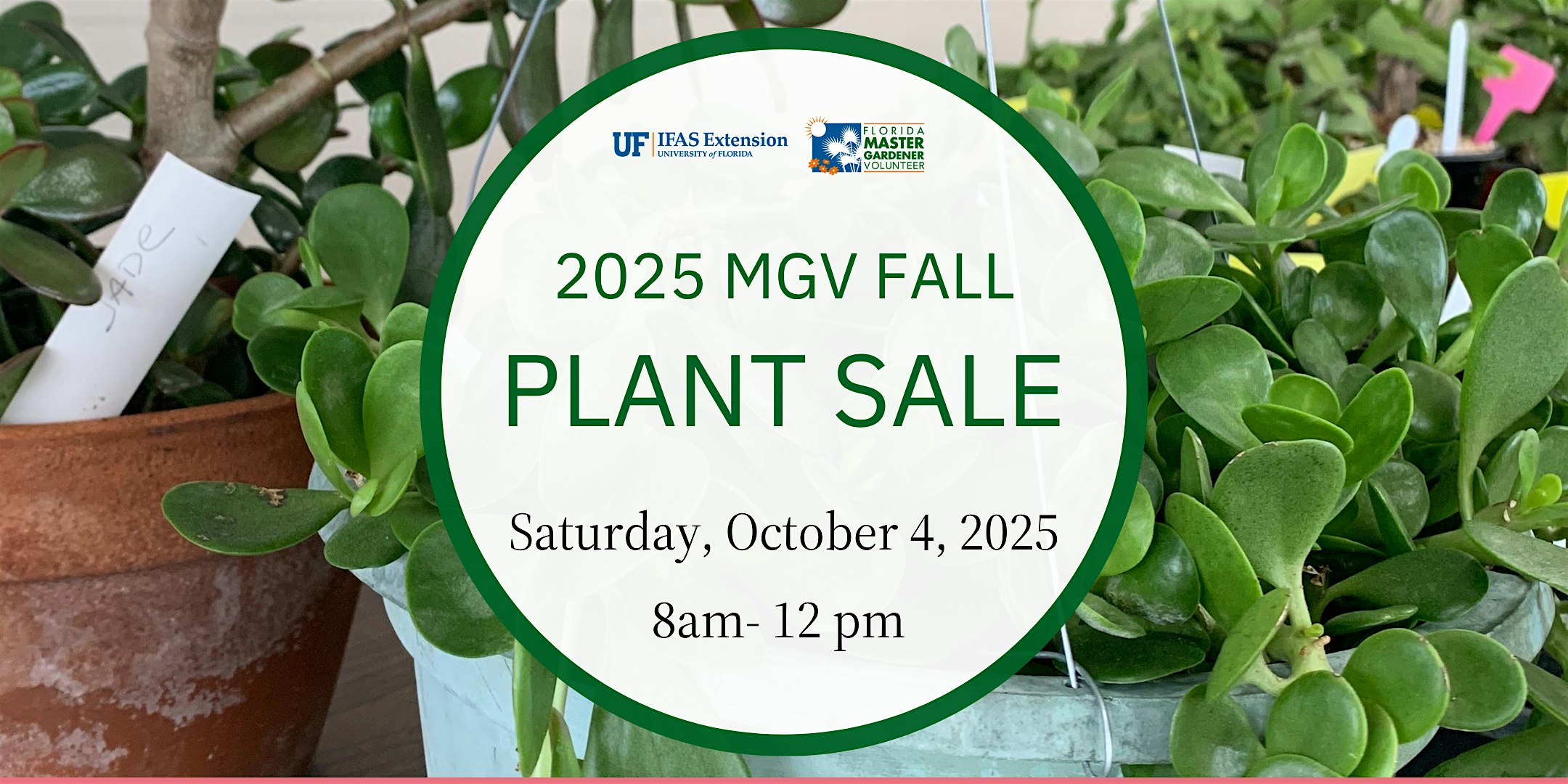 2025 Master Gardener Volunteer Fall Plant Sale at UF/IFAS Manatee County Extension Office – Palmetto, FL