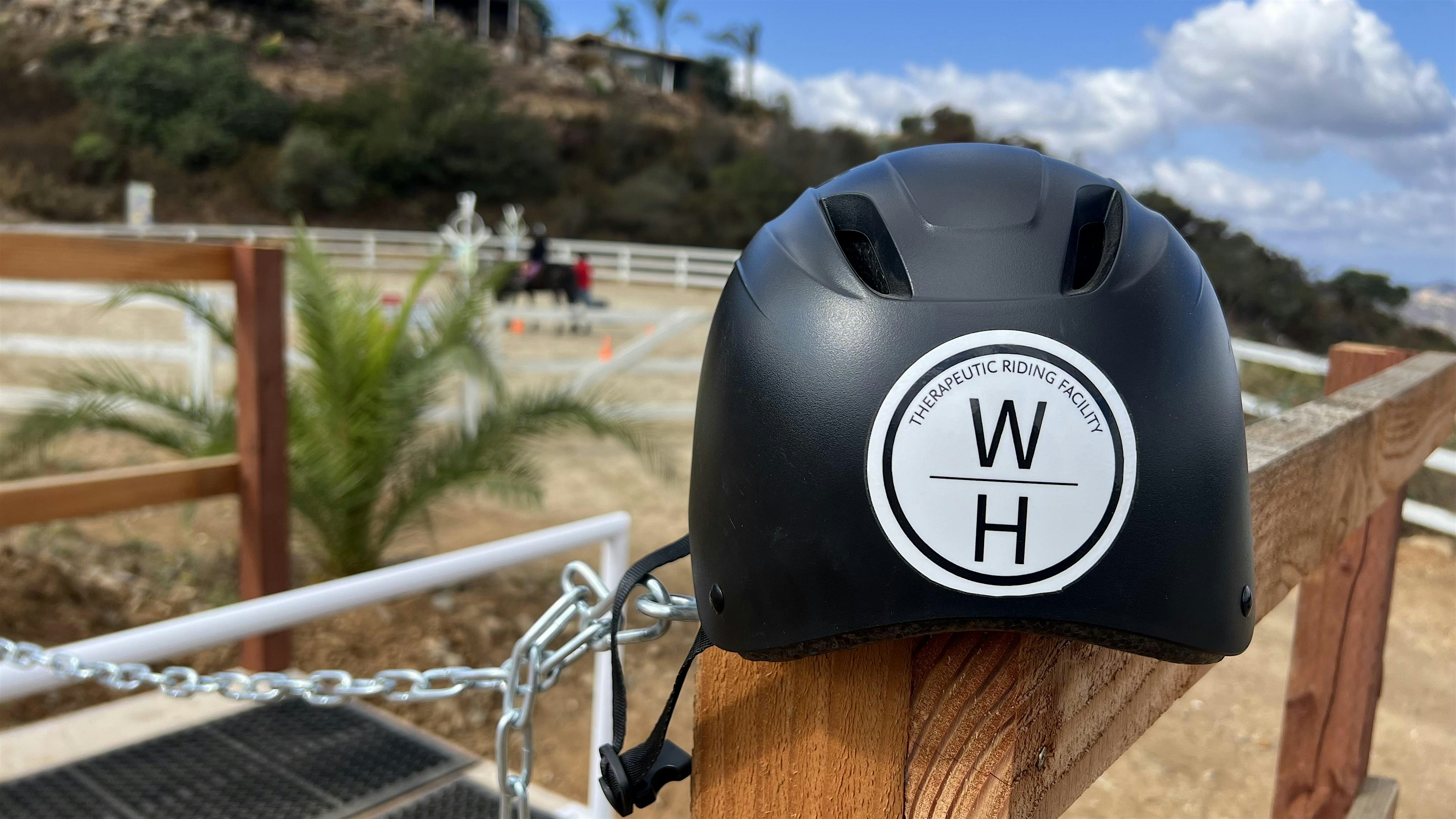 2nd Annual Silent Auction & Barn Party at Wylde Horses Therapeutic Riding Facility – Valley Center, CA