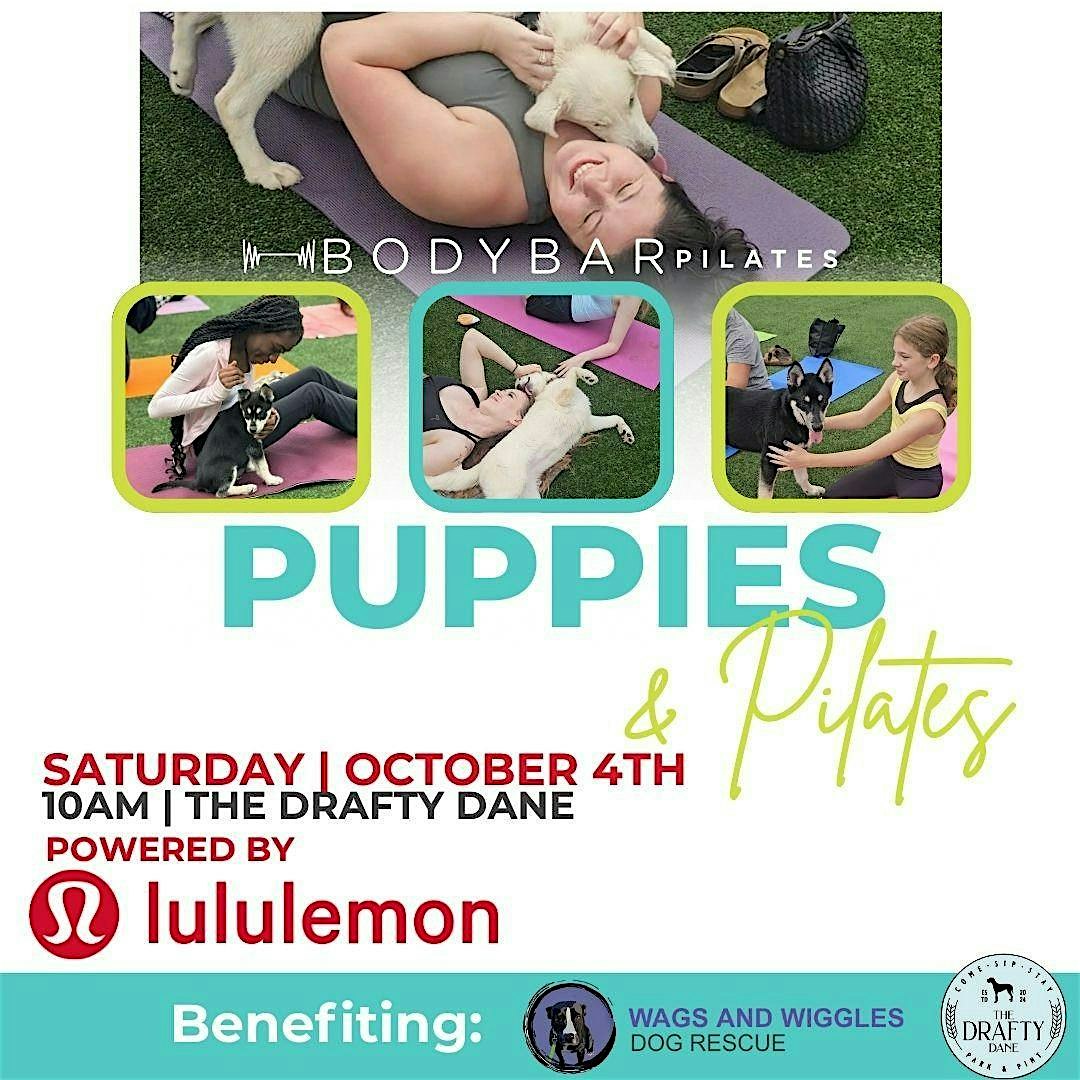 Puppies & Pilates – BODYBAR x lululemon at The Drafty Dane – Marietta, GA