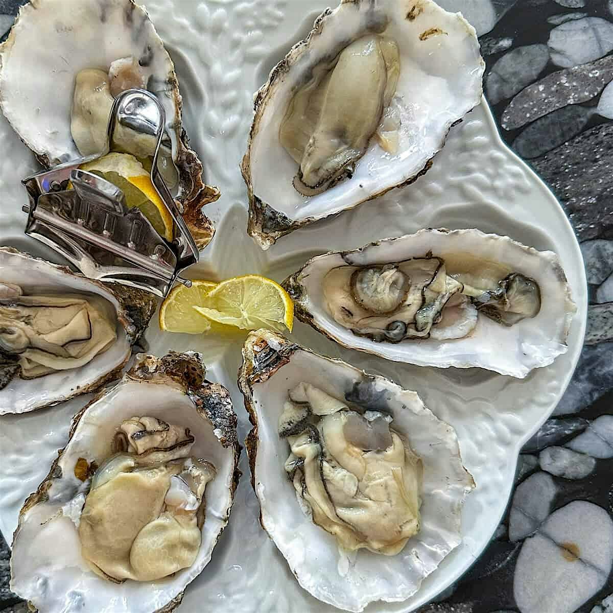 Oyster Festival On The Sound at Copps Island Oysters by Norm Bloom & Son, LLC – Norwalk, CT