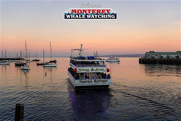 Sunset Cruise on Monterey Bay – AL & Friends Benefit at Princess Monterey Whale Watching – Monterey, CA