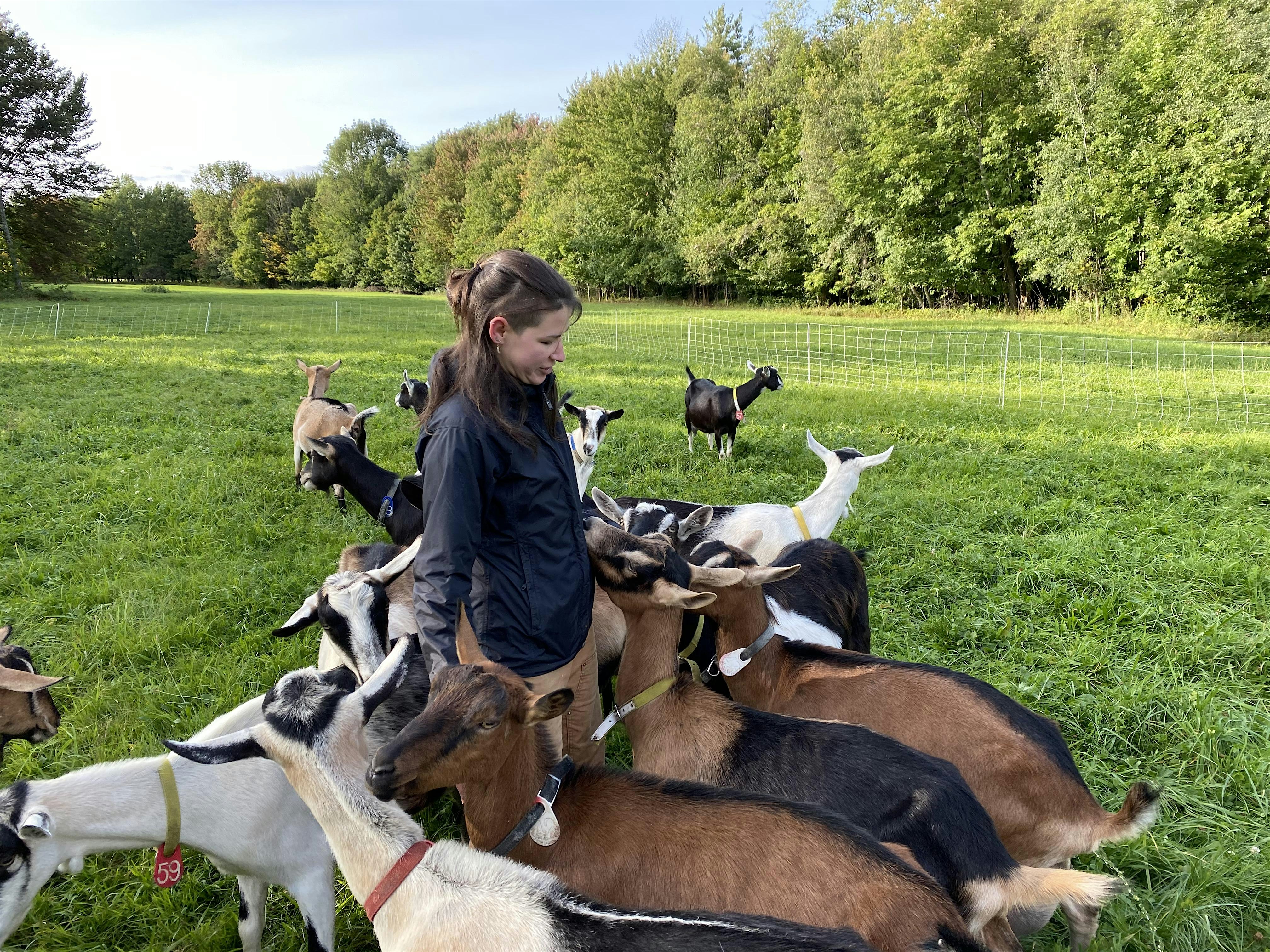 Sage Farm Tour and Cheese Tasting at 2248 W Hill Rd – Stowe, VT