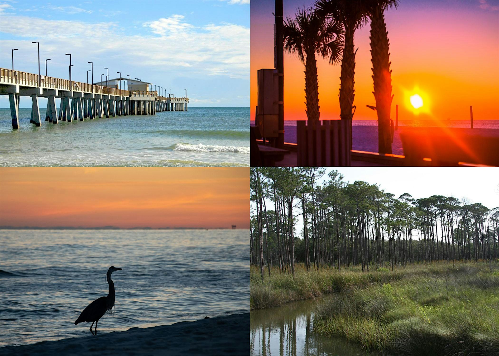 New Horizons 2025: The 46th Annual NAAMLP Conference at The Lodge at Gulf State Park, a Hilton Hotel – Gulf Shores, AL