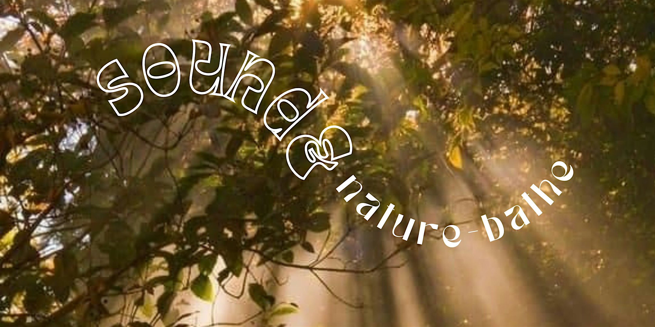 Sound & Nature-bathe at 9170 Occidental Rd – Sebastopol, CA