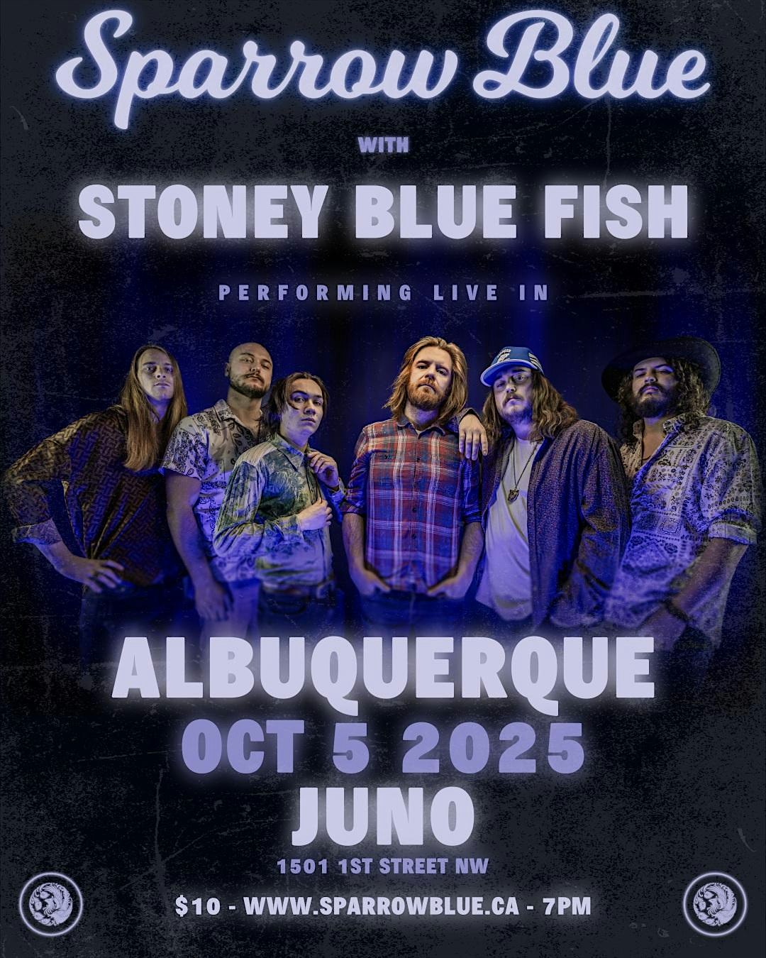 Sparrow Blue with Stoney Blue Fish at JUNO brewery + cafe + art – Albuquerque, NM