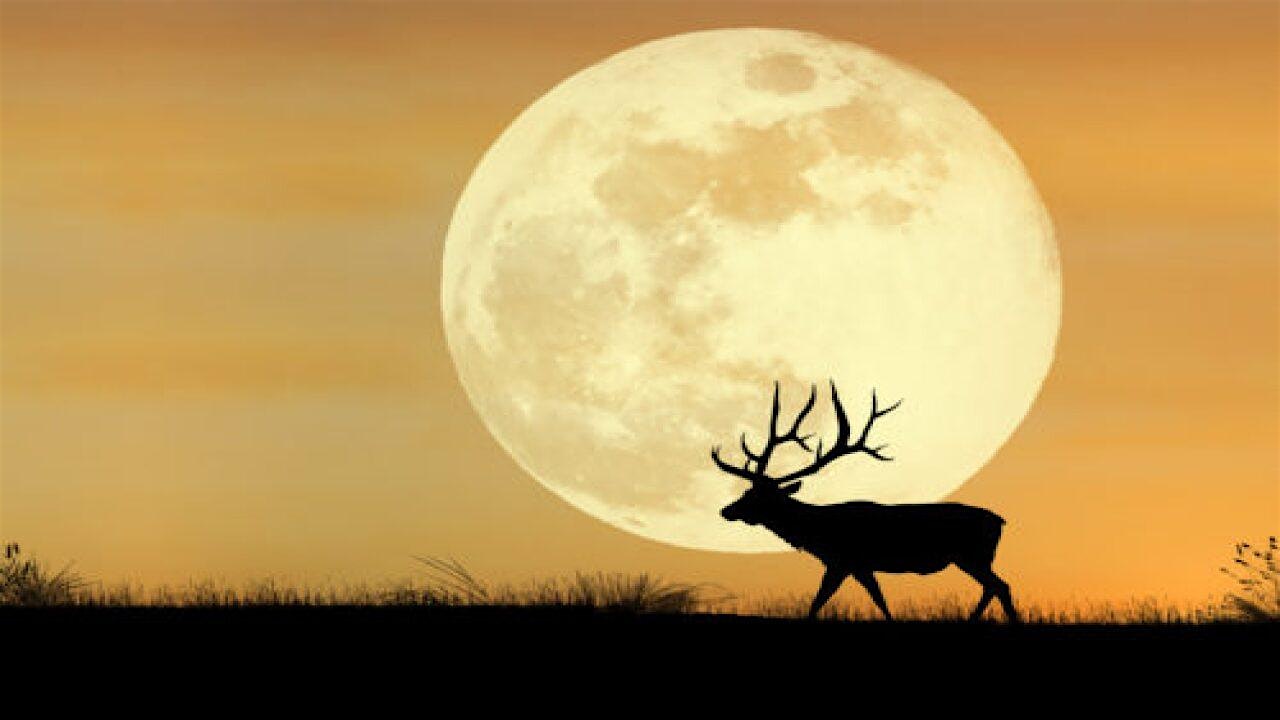 Full Moon Celebration and Meditation at Integrative Healing Arts Center at Eternal Eden – Portland, OR