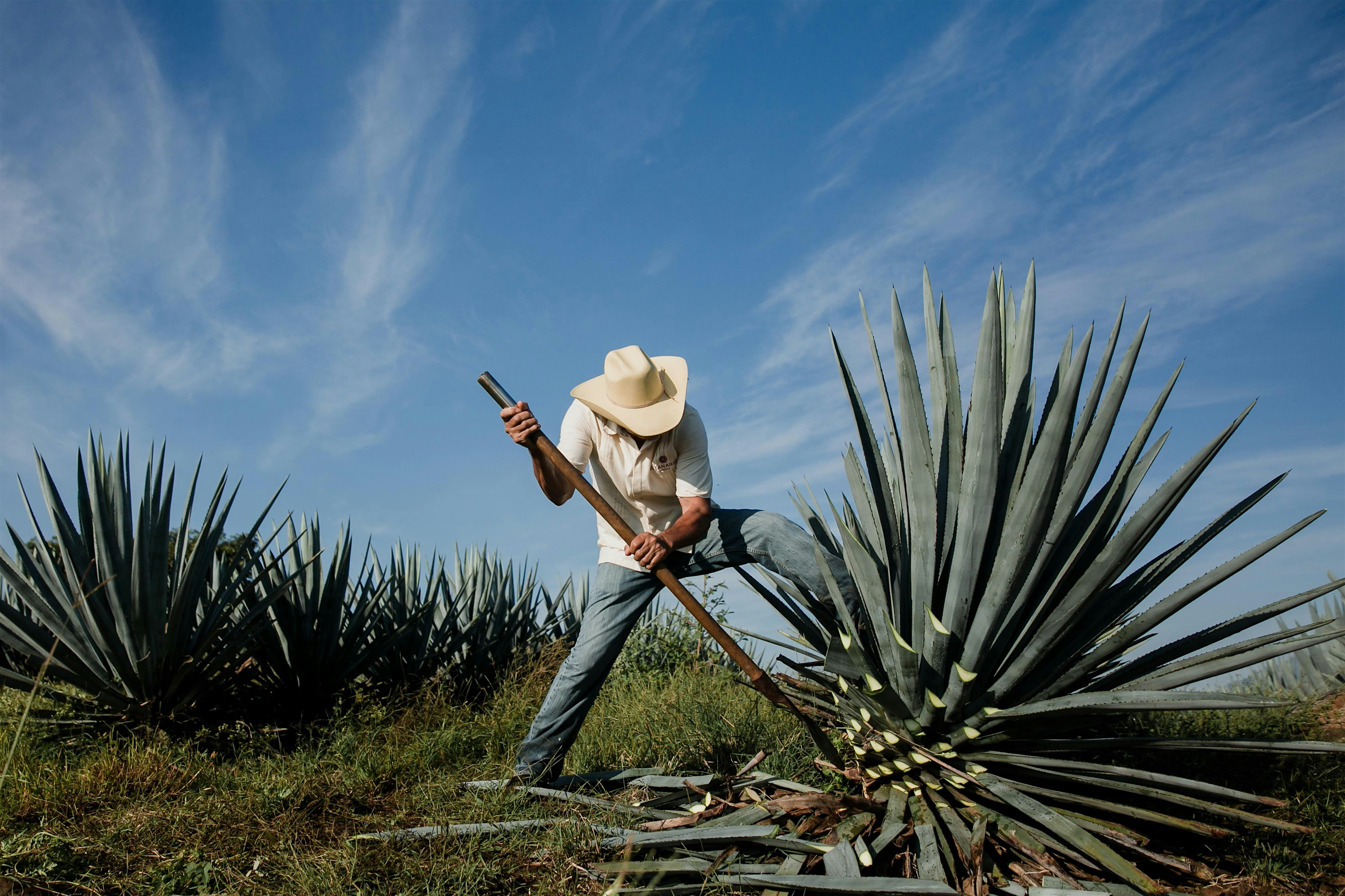 Evening with Master Tequilero René Carranza from Atanasio tequila at El Comal Cocina y Cantina – Lake Elsinore, CA