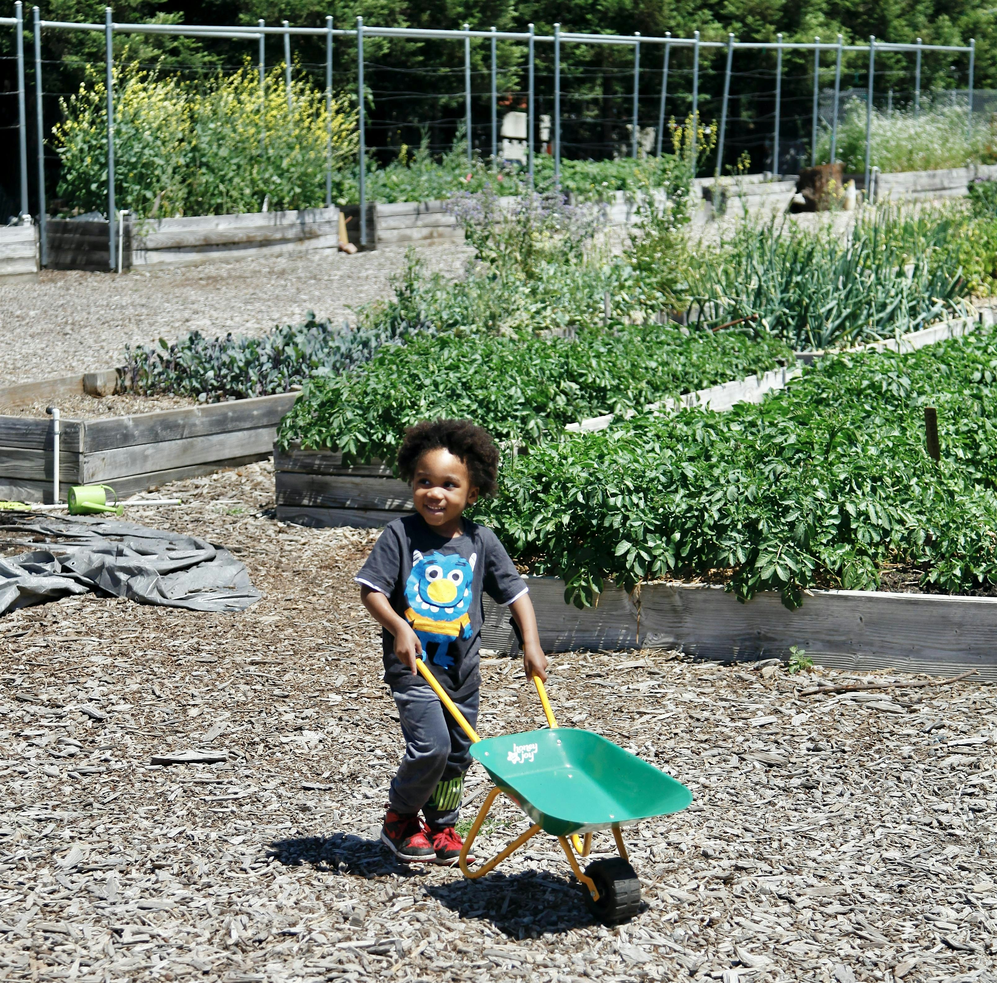 Toddler Play Dates at the Farm at Garden to Table Silicon Valley – San Jose, CA