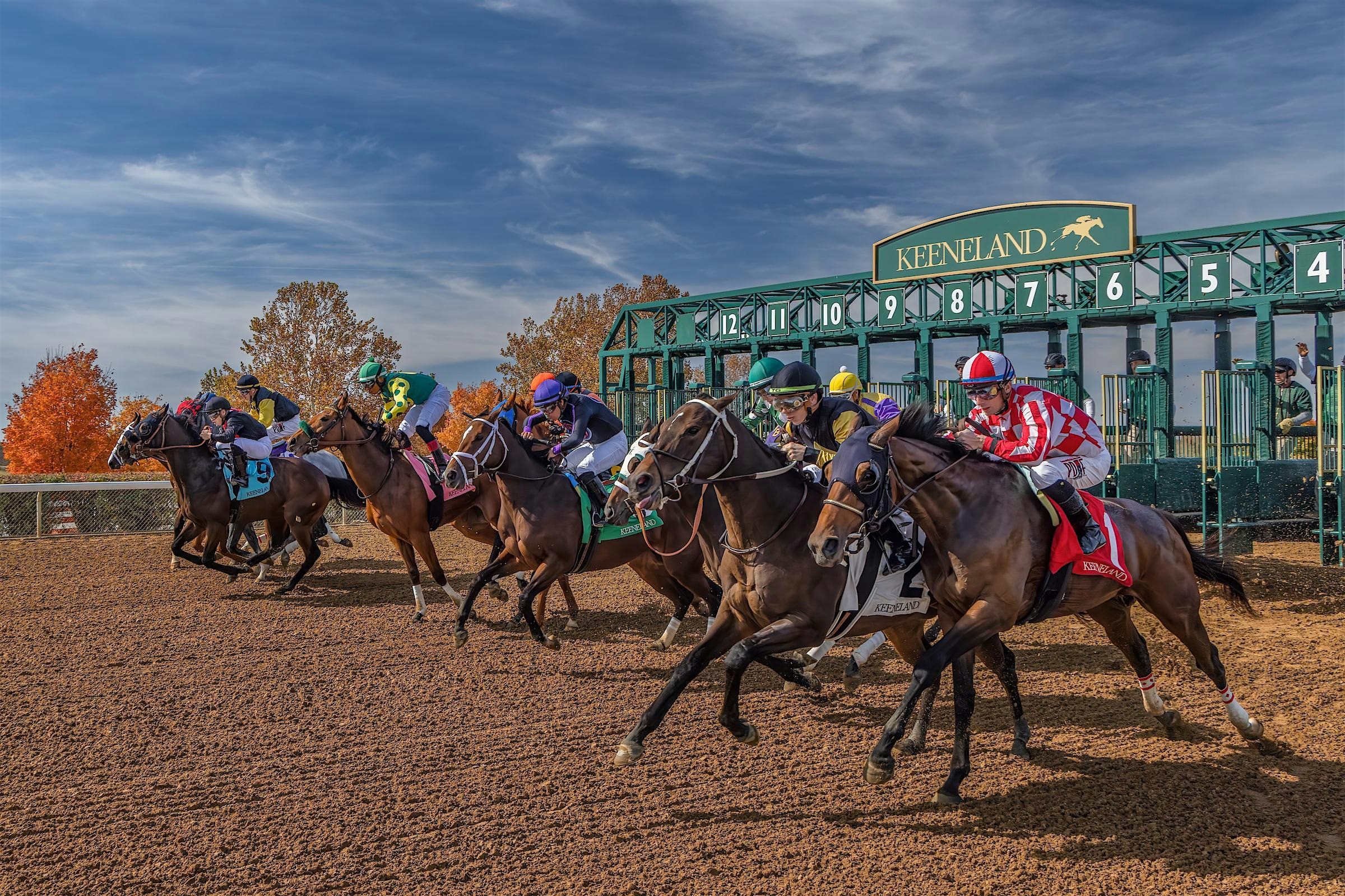 Annual HPE Appreciation Day at Keeneland at Keeneland Association Inc – Lexington, KY